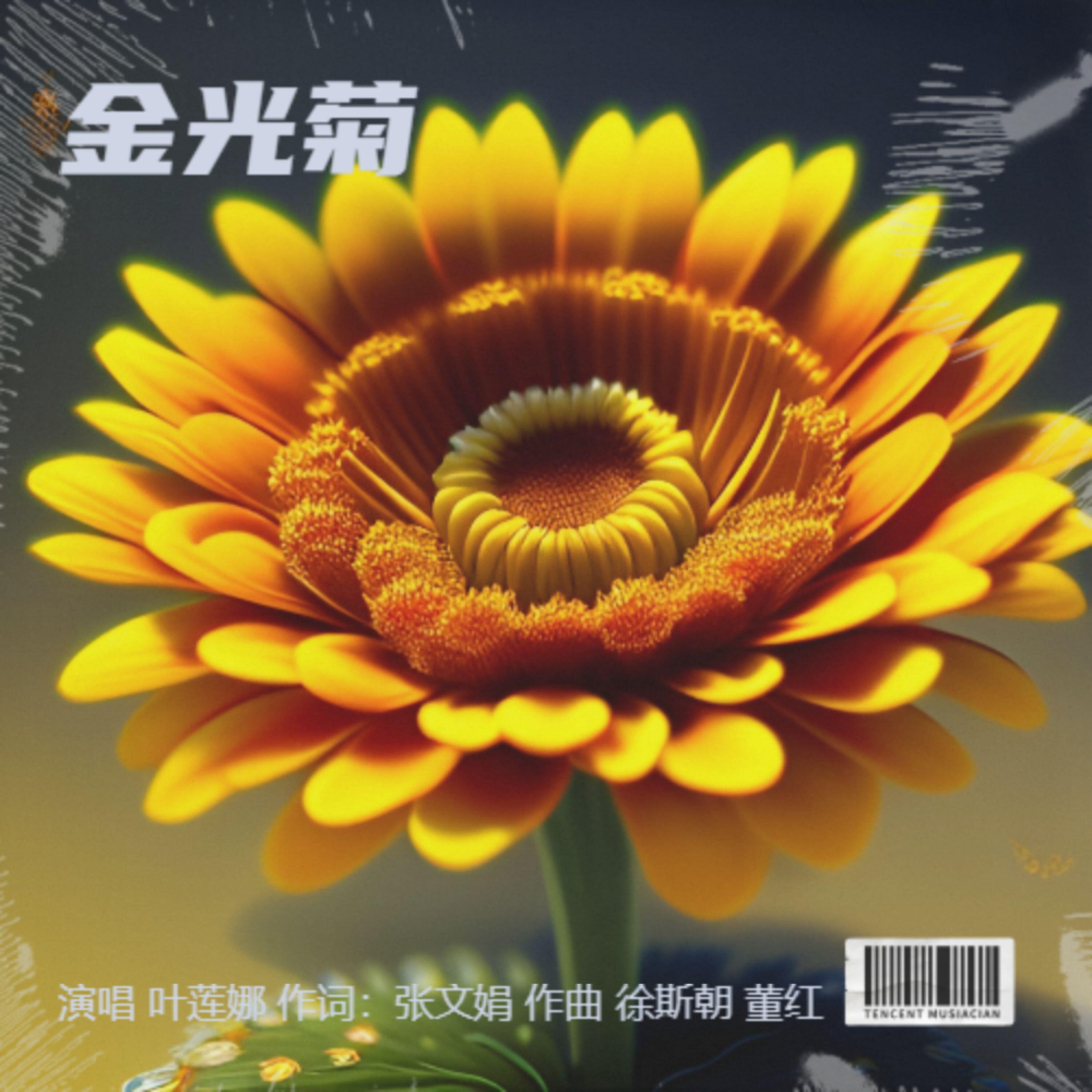 Релиз 金光菊