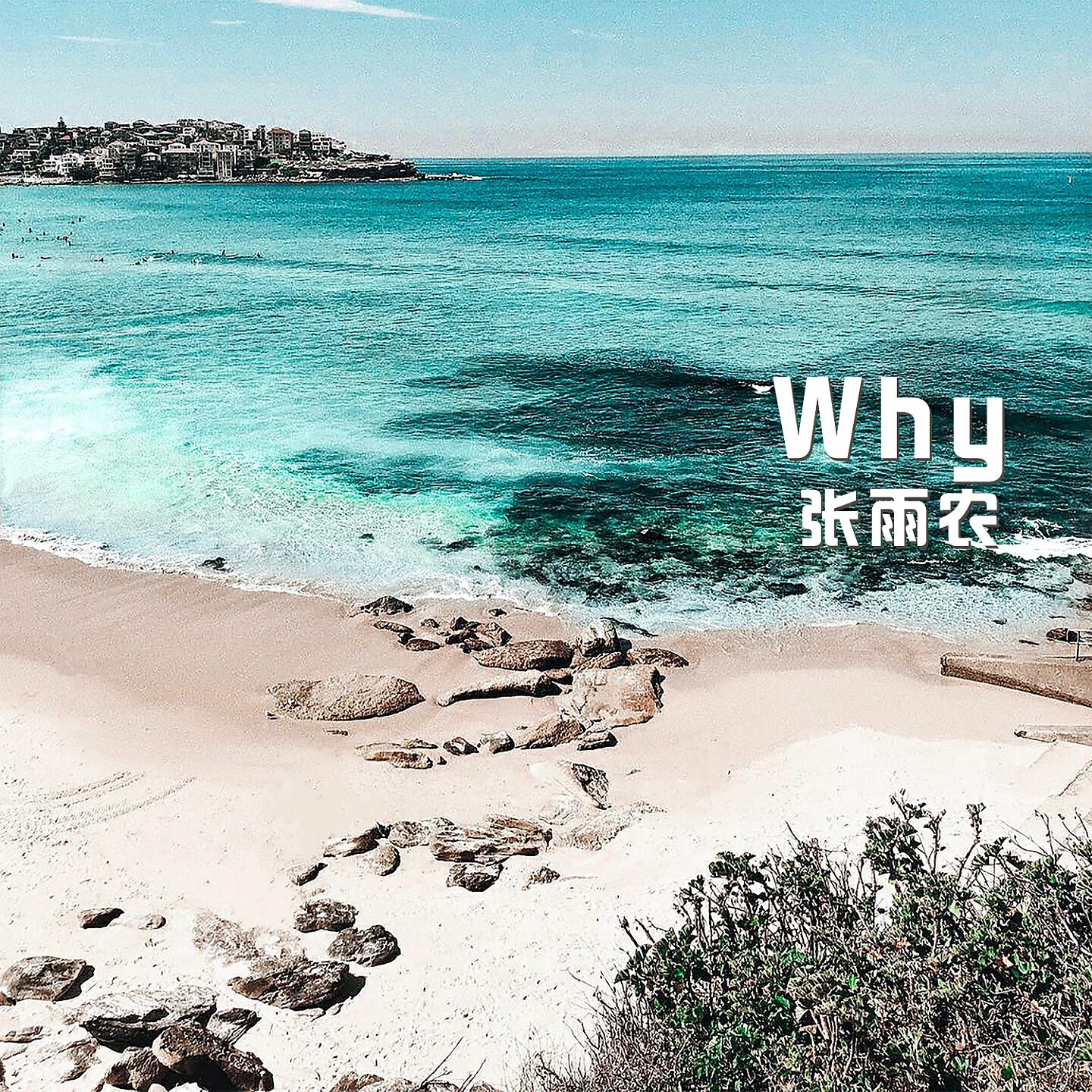 Релиз Why