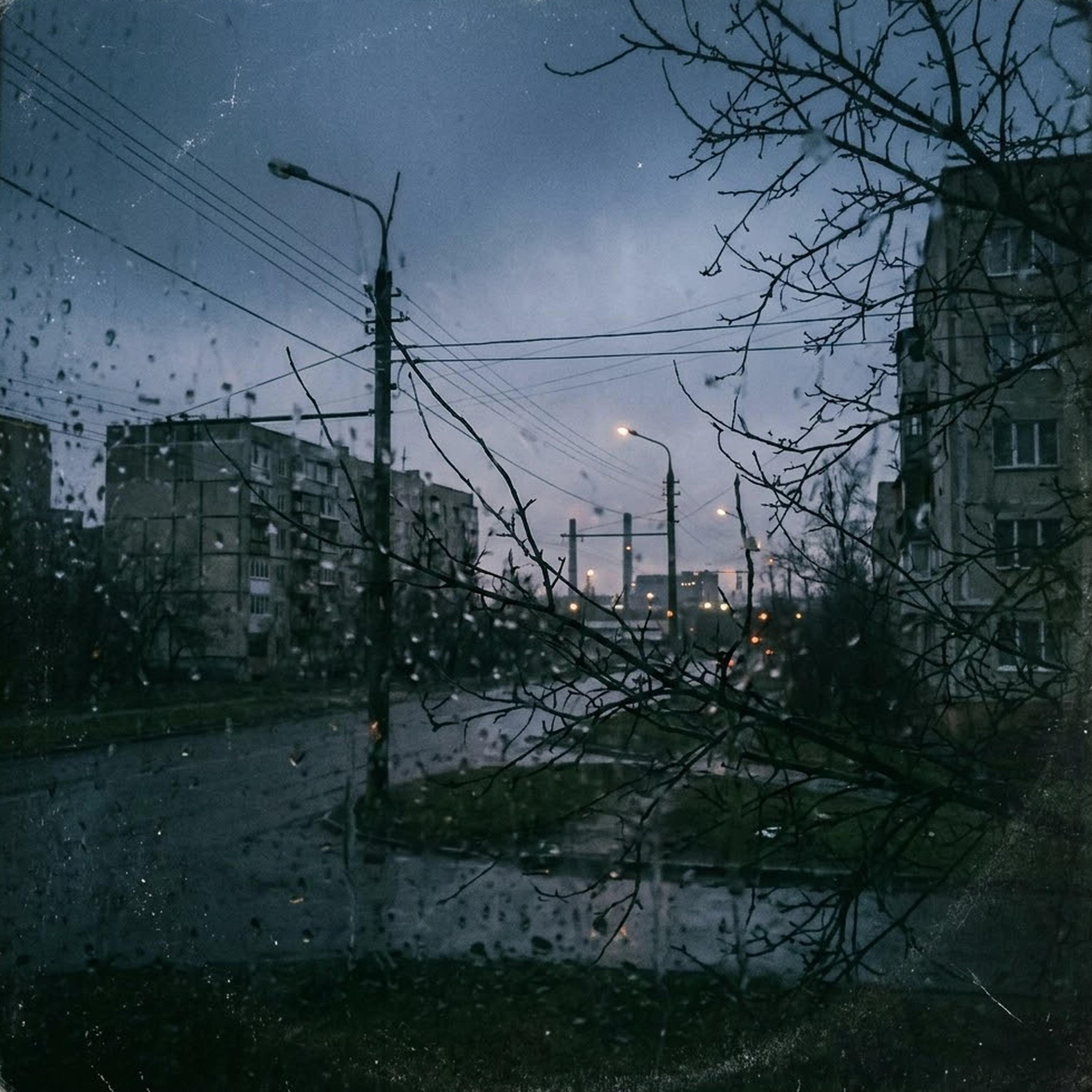 Ilya Dorne