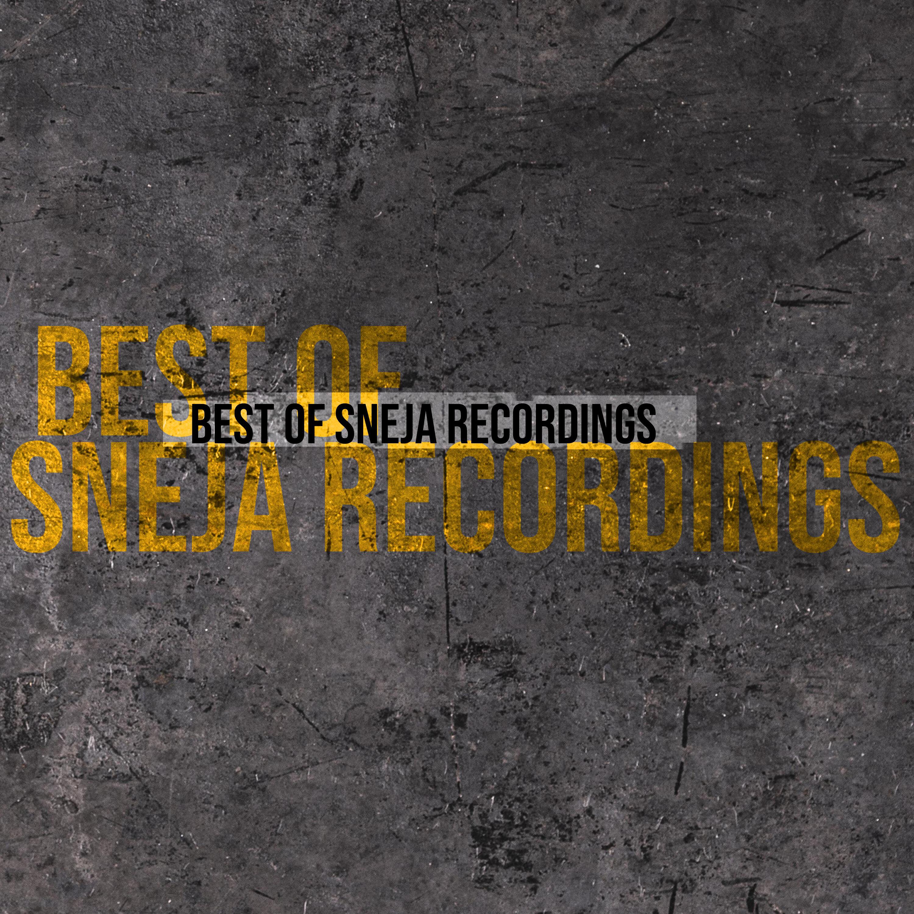 Релиз BEST OF SNEJA RECORDINGS, 2024