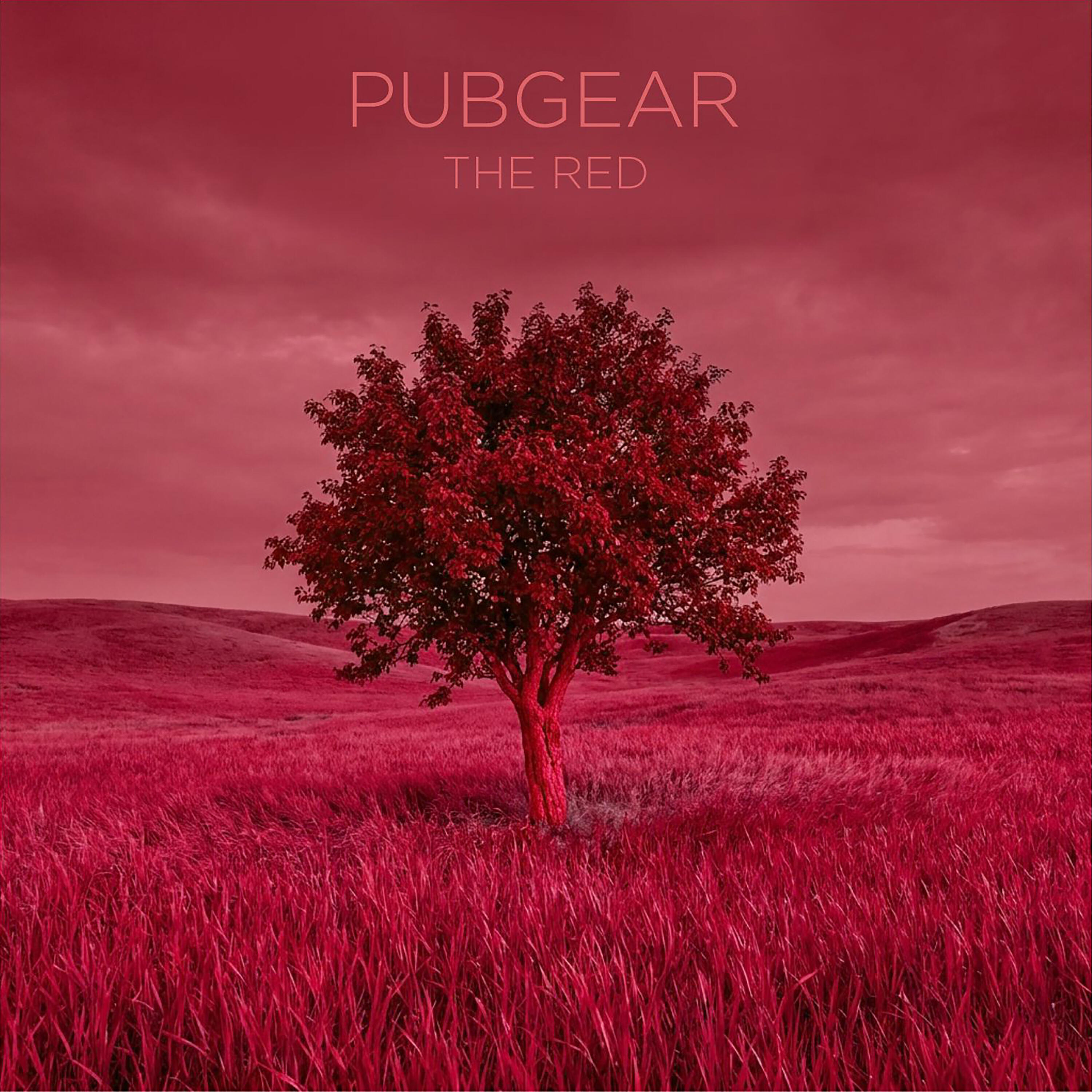 Pubgear