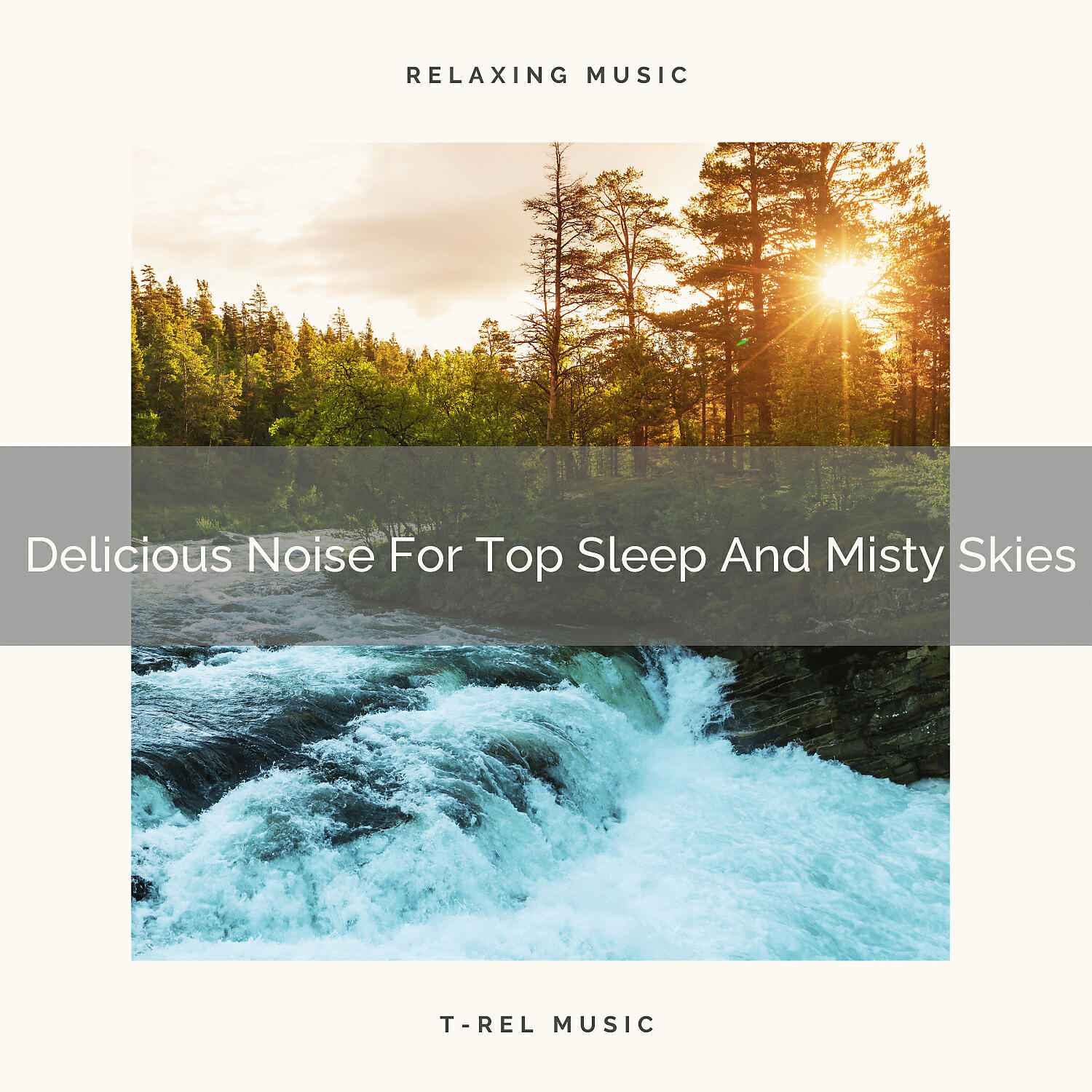 Релиз Delicious Noise For Top Sleep And Misty Skies
