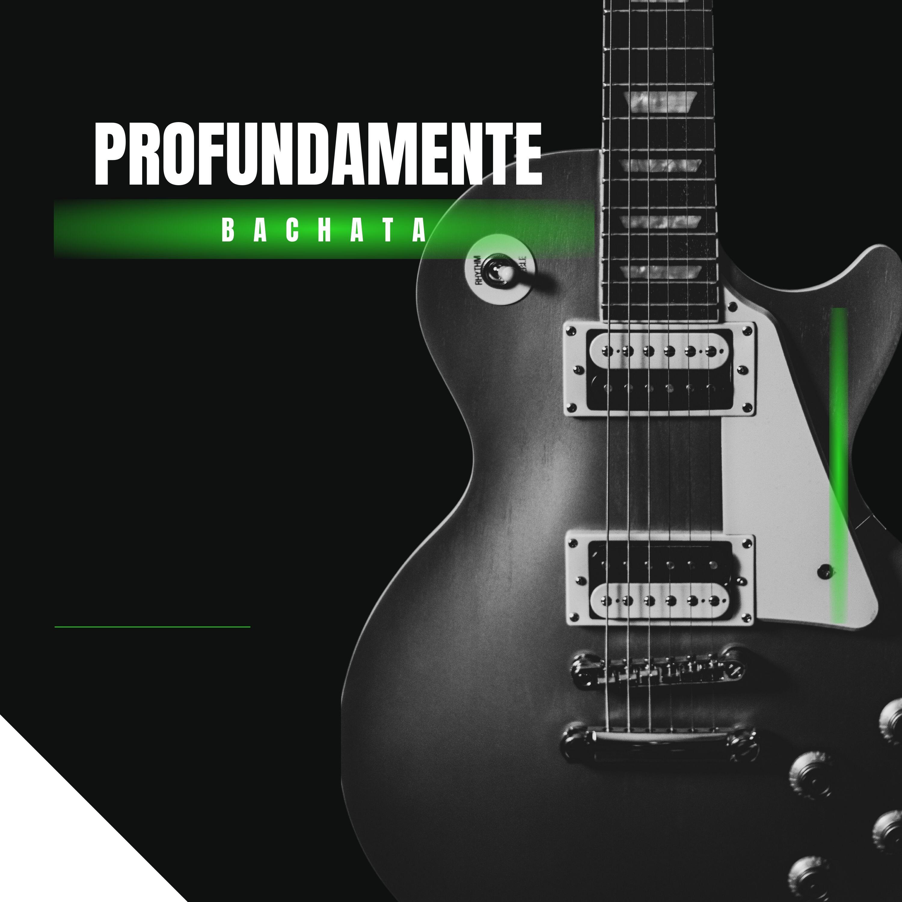 Постер альбома Profundamente Bachata