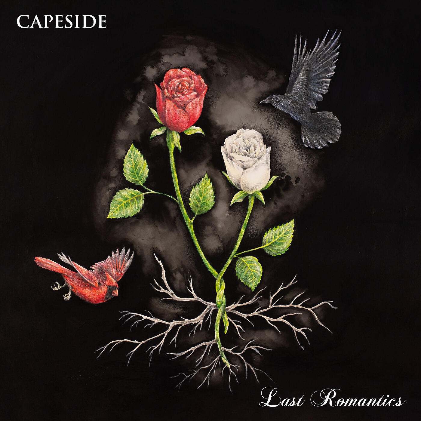Релиз Last Romantics