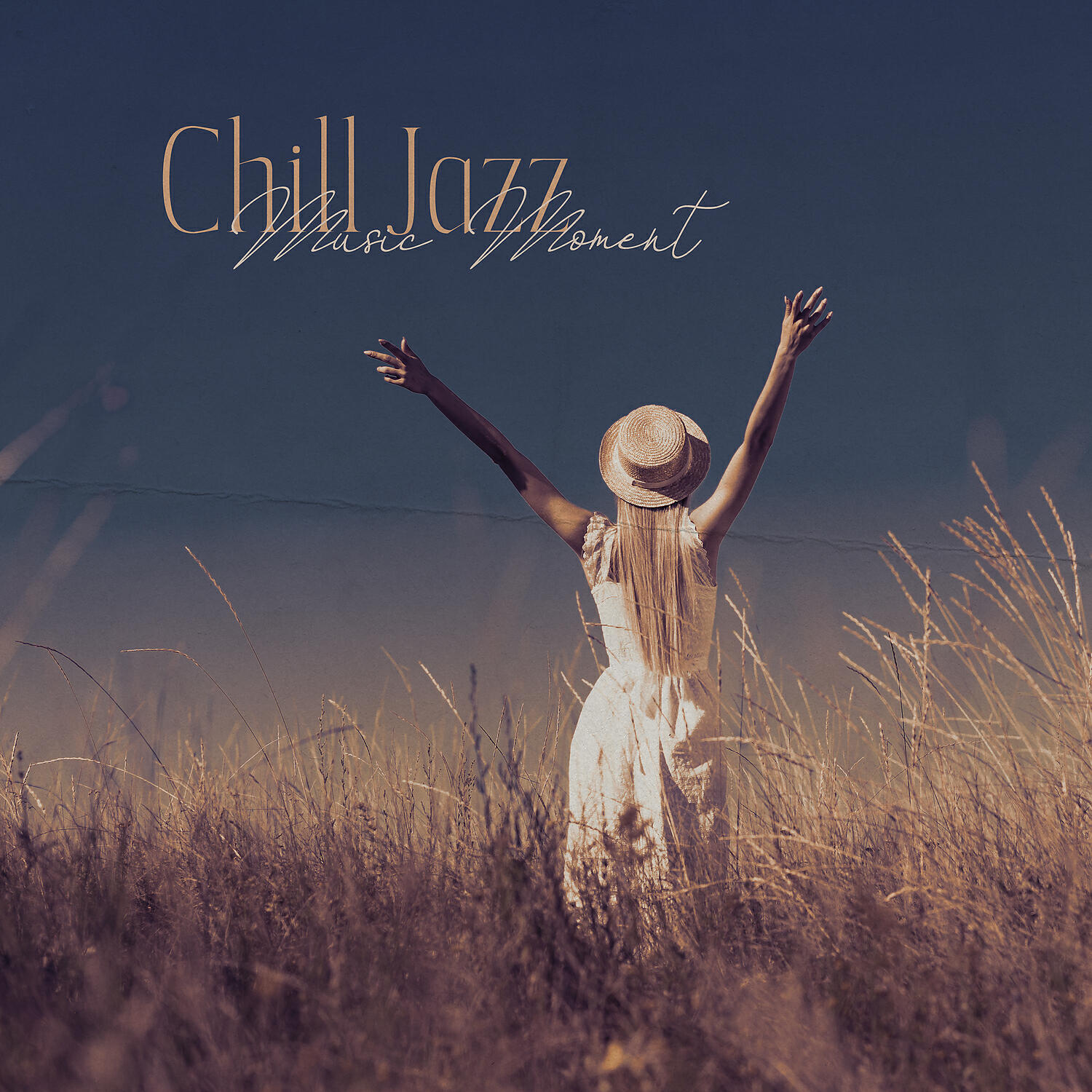 Релиз Chill Jazz Music Moment: Fresh Jazz for Relaxation & Unwinding, Carefree Time, Chill Jazz Lounge, Stress Relieving Collection