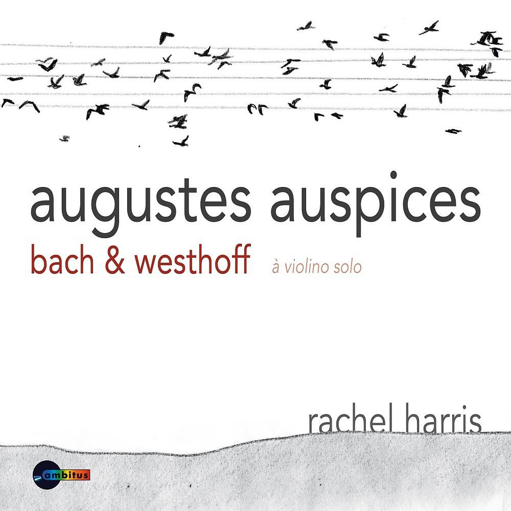 Релиз Augustes auspices