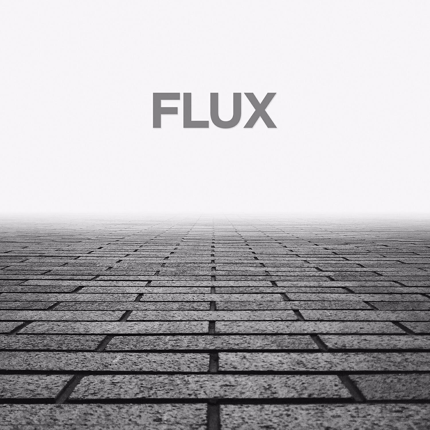 Релиз Flux