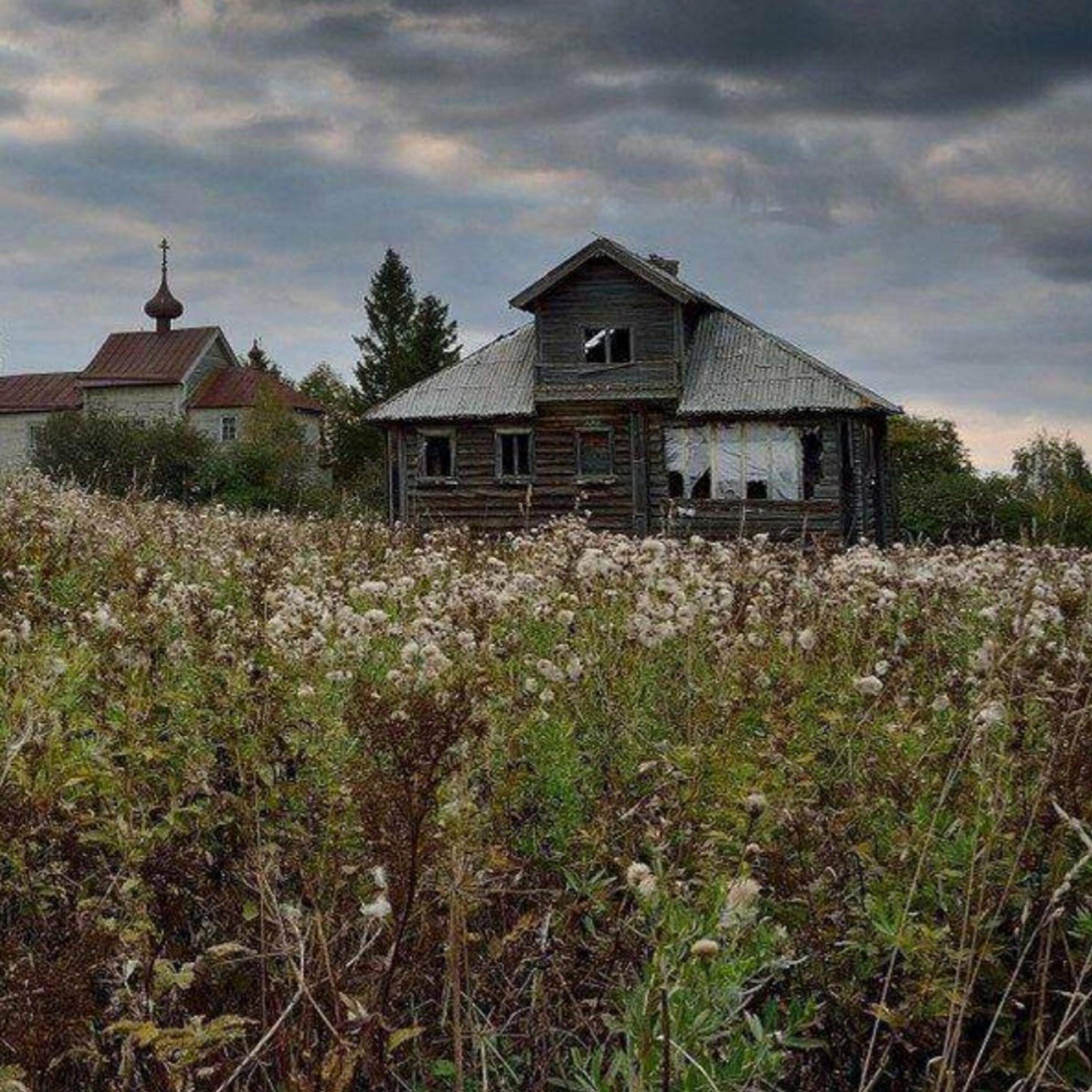 Релиз Край ты мой заброшенный
