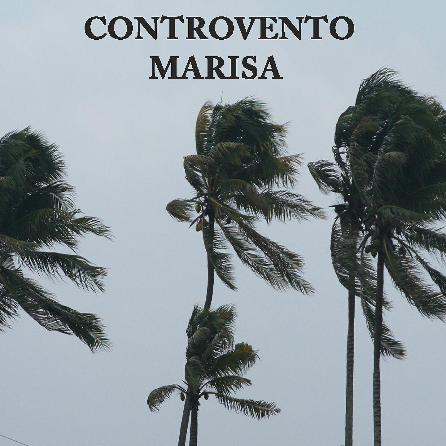 MARISA .