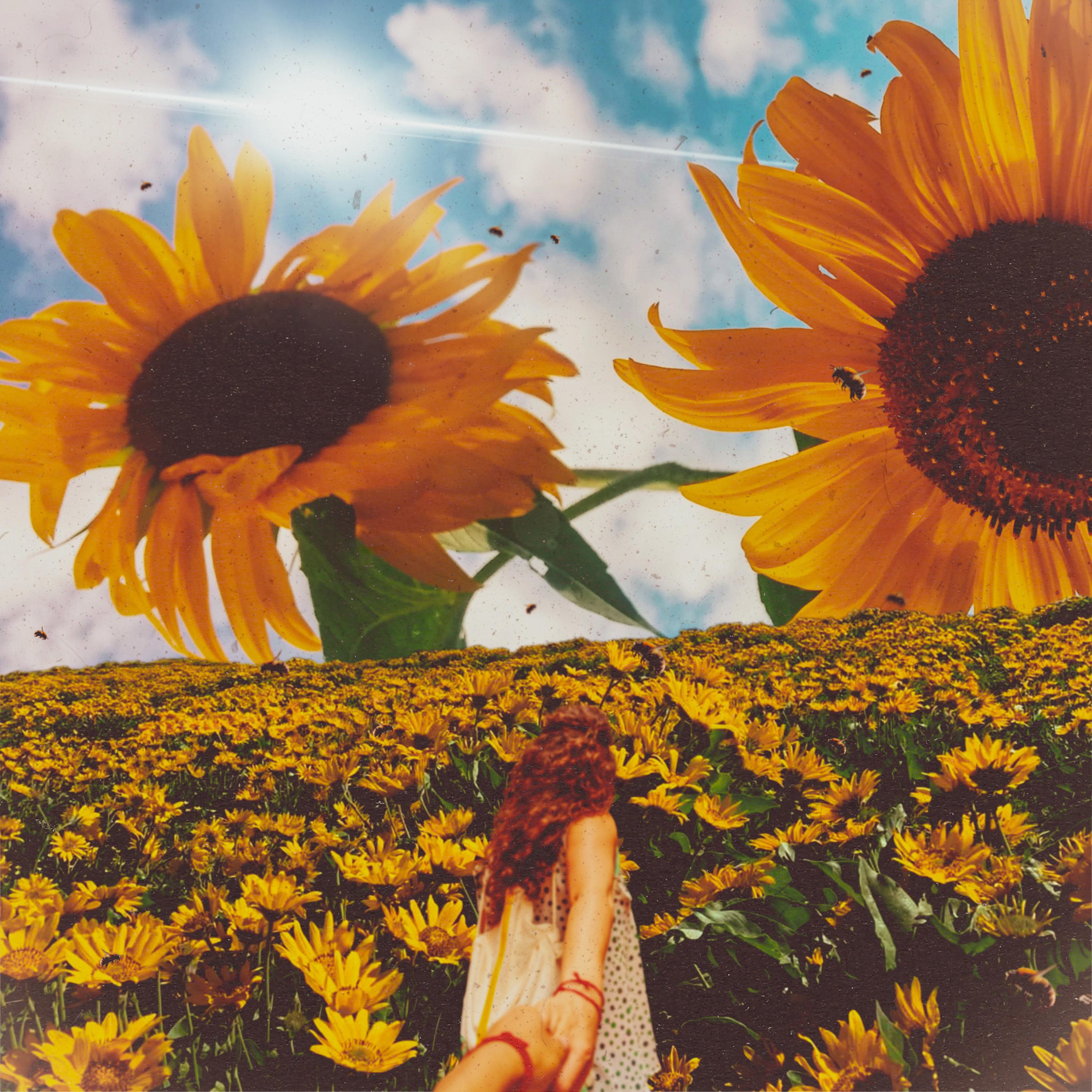 Релиз Sol