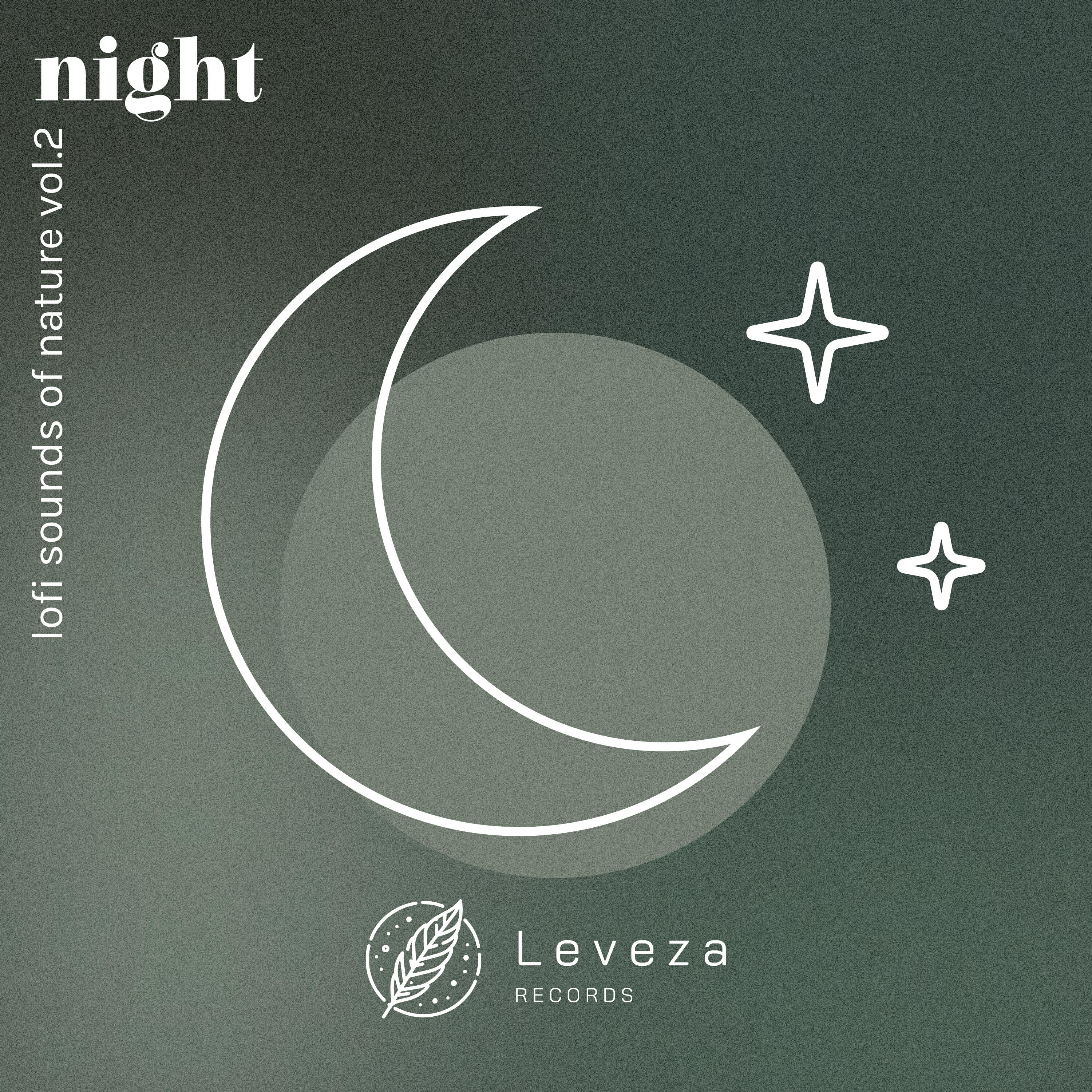 Релиз Lofi Sounds of Nature: Night, Vol. 2