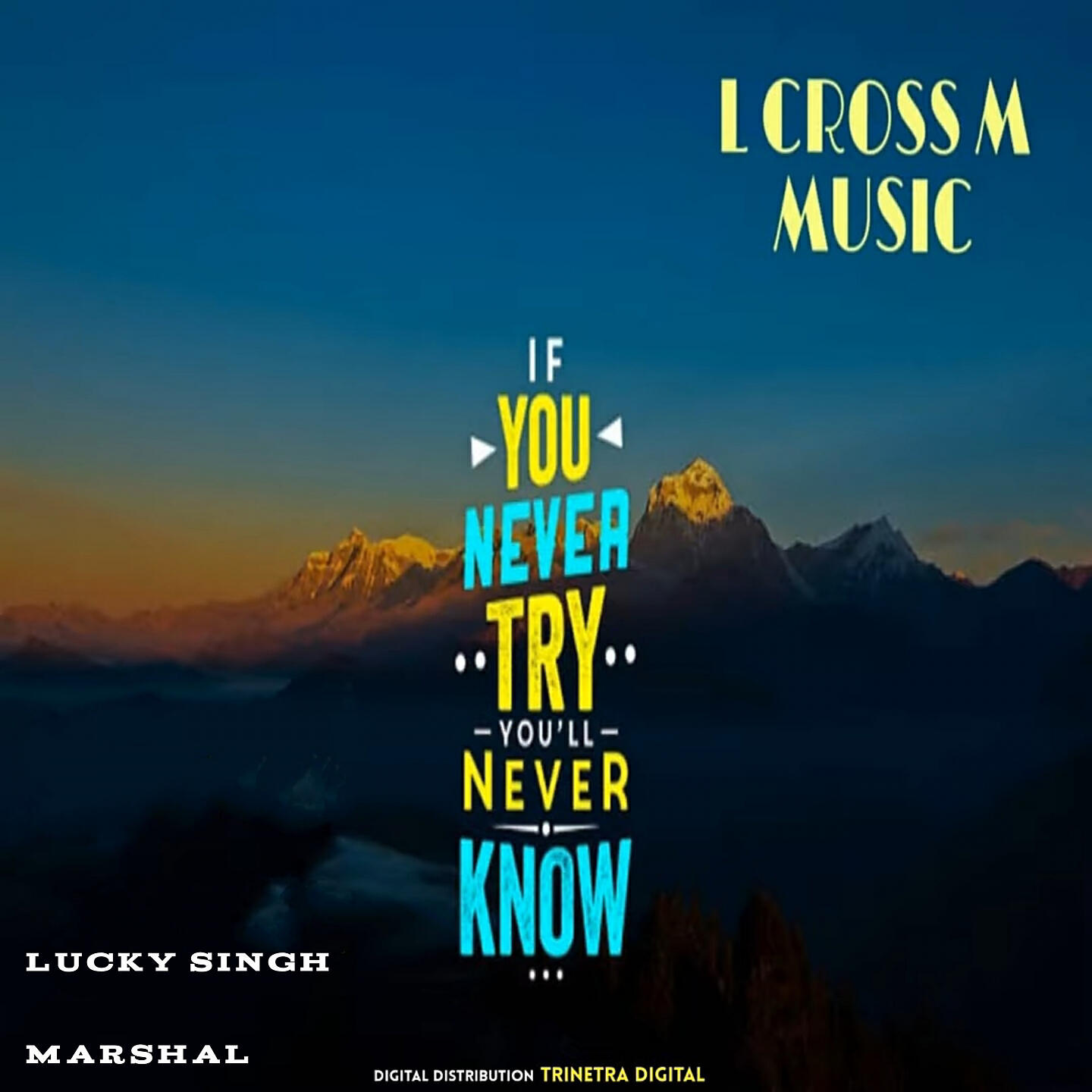 Релиз If You Never Try, You'll Never Know