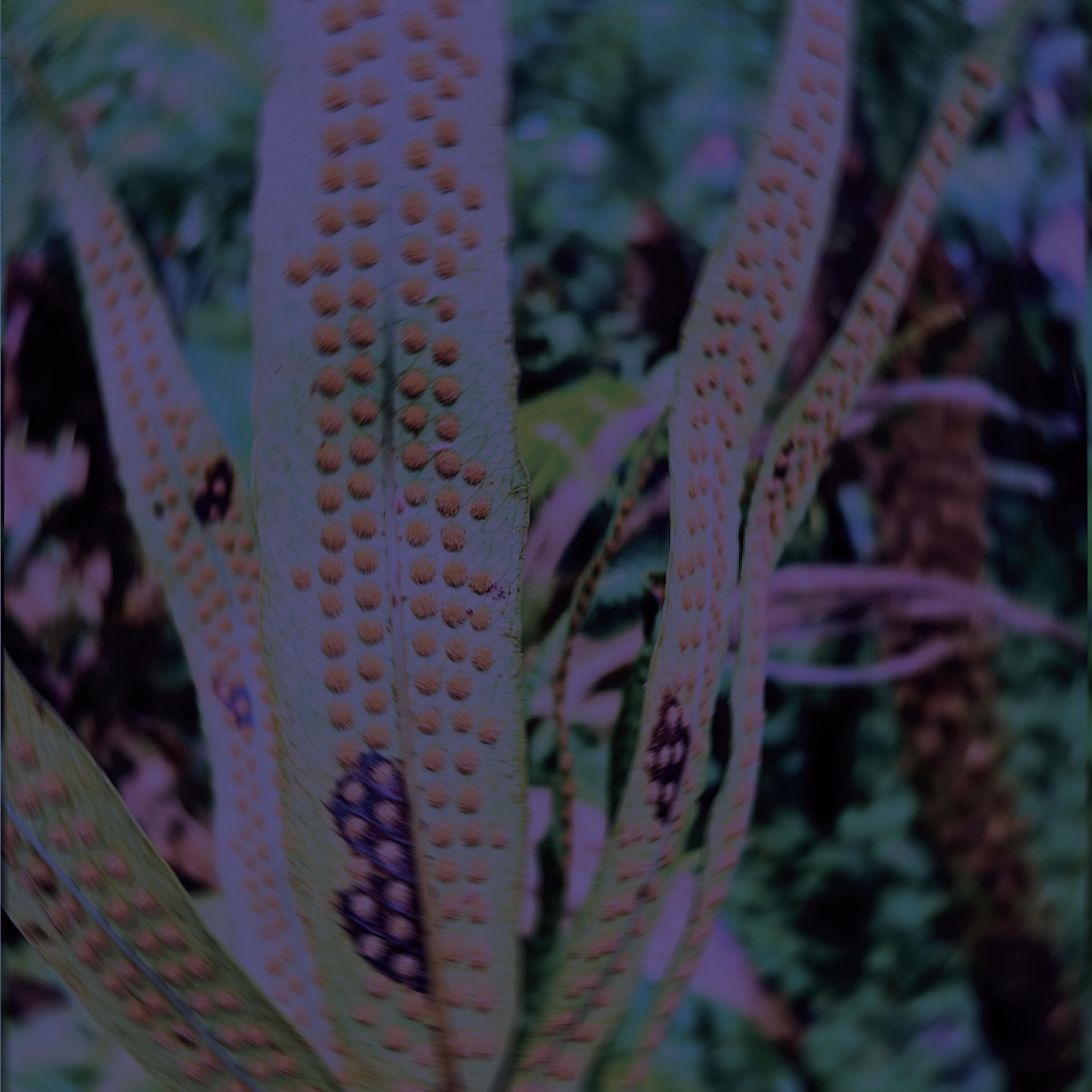 Propaganda, Derek Minor, theBeatbreaker, Theory Hazit, Krum - Some Mud Mud (feat. Theory Hazit & Krum) (Beat Flip)