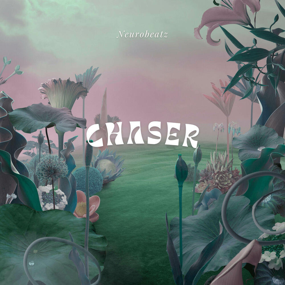 Релиз CHASER