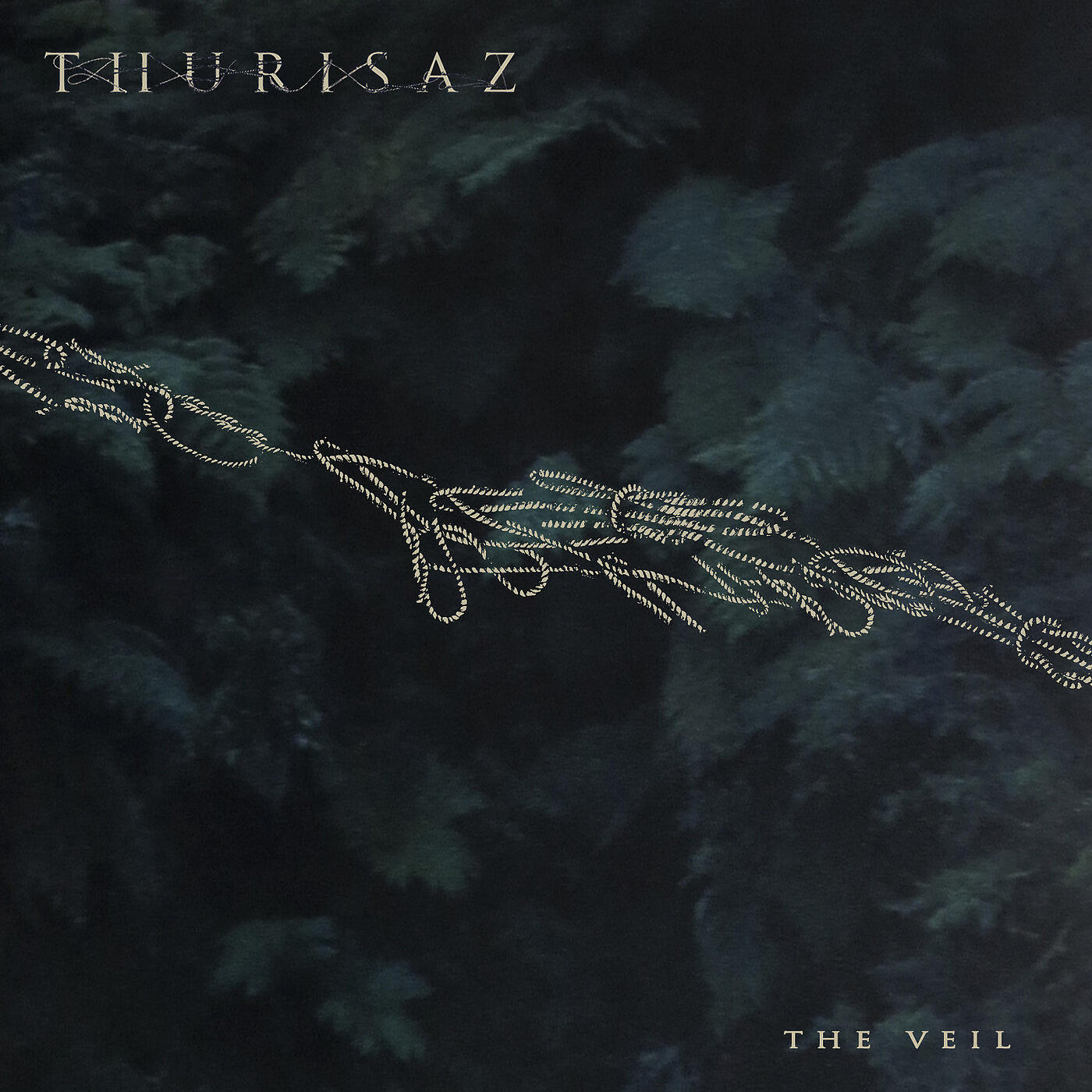 Релиз The Veil