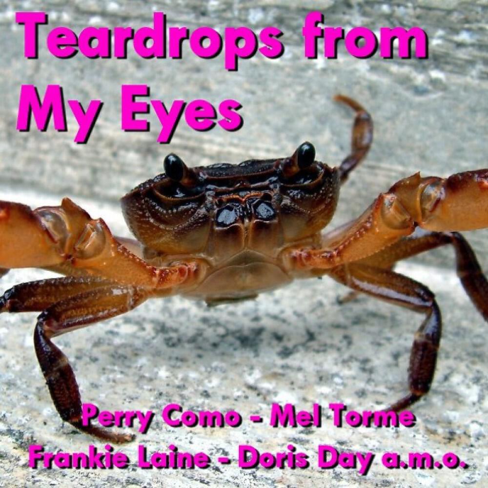 Релиз Teardrops from My Eyes