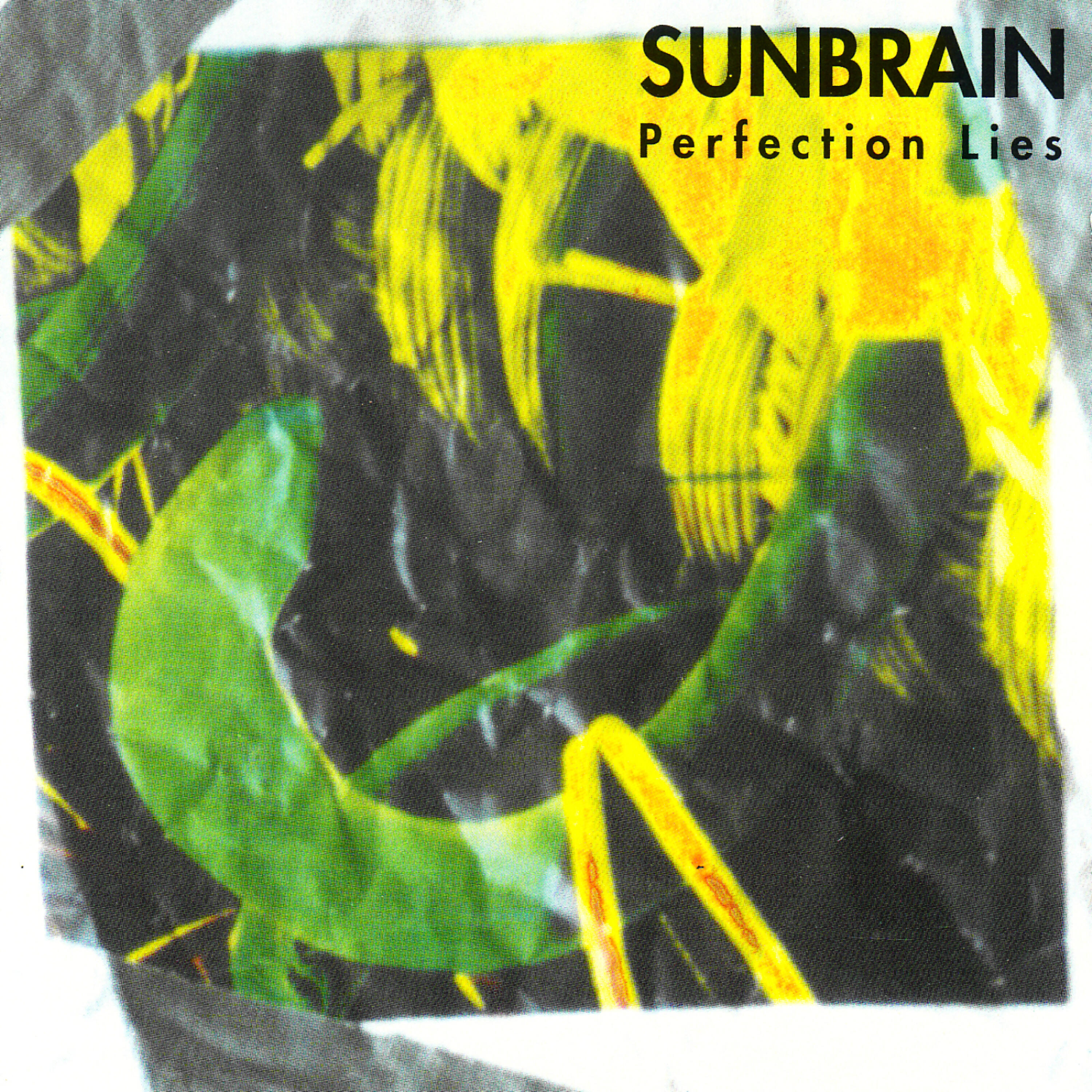 Релиз Perfection Lies (Remastered)