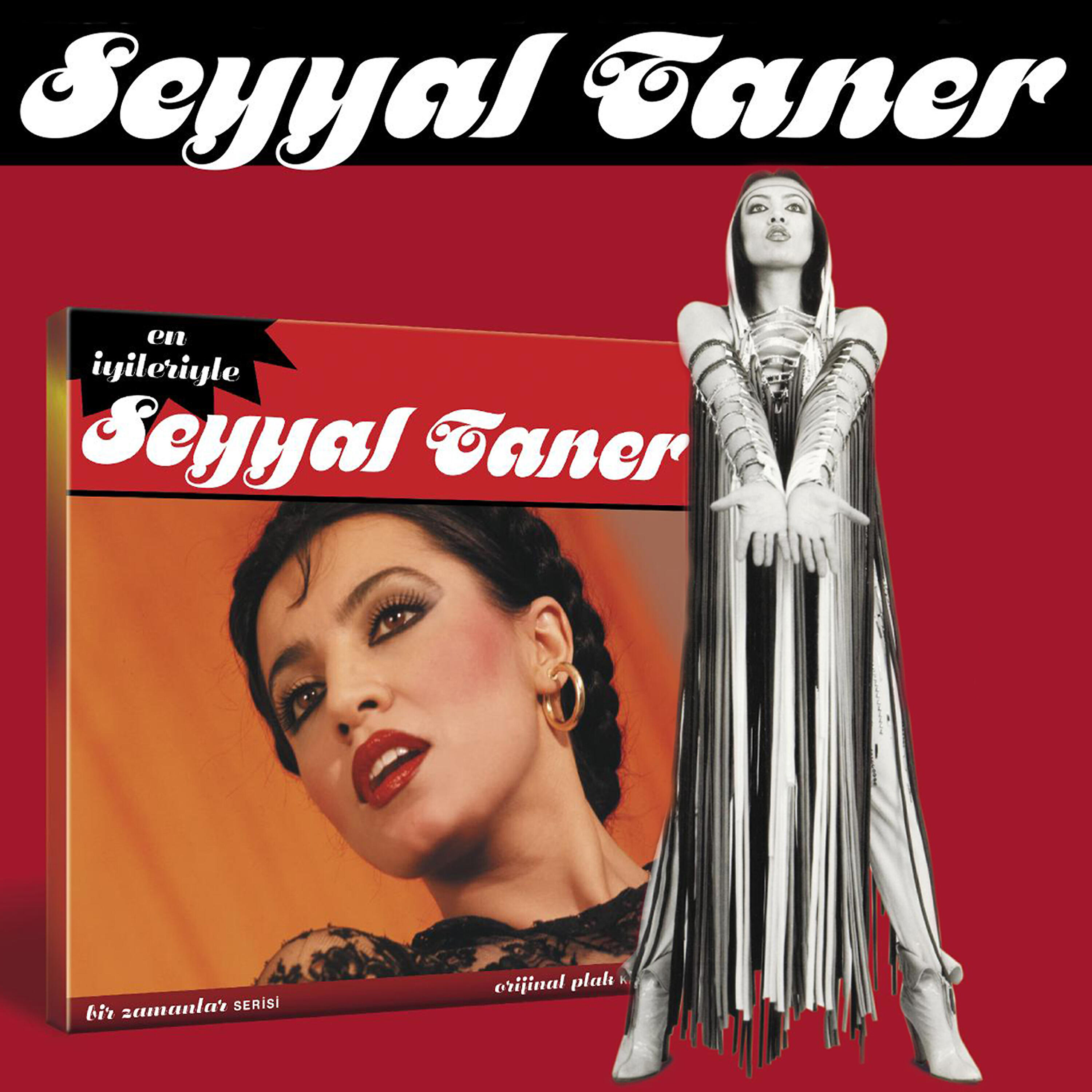 Релиз En İyileriyle Seyyal Taner