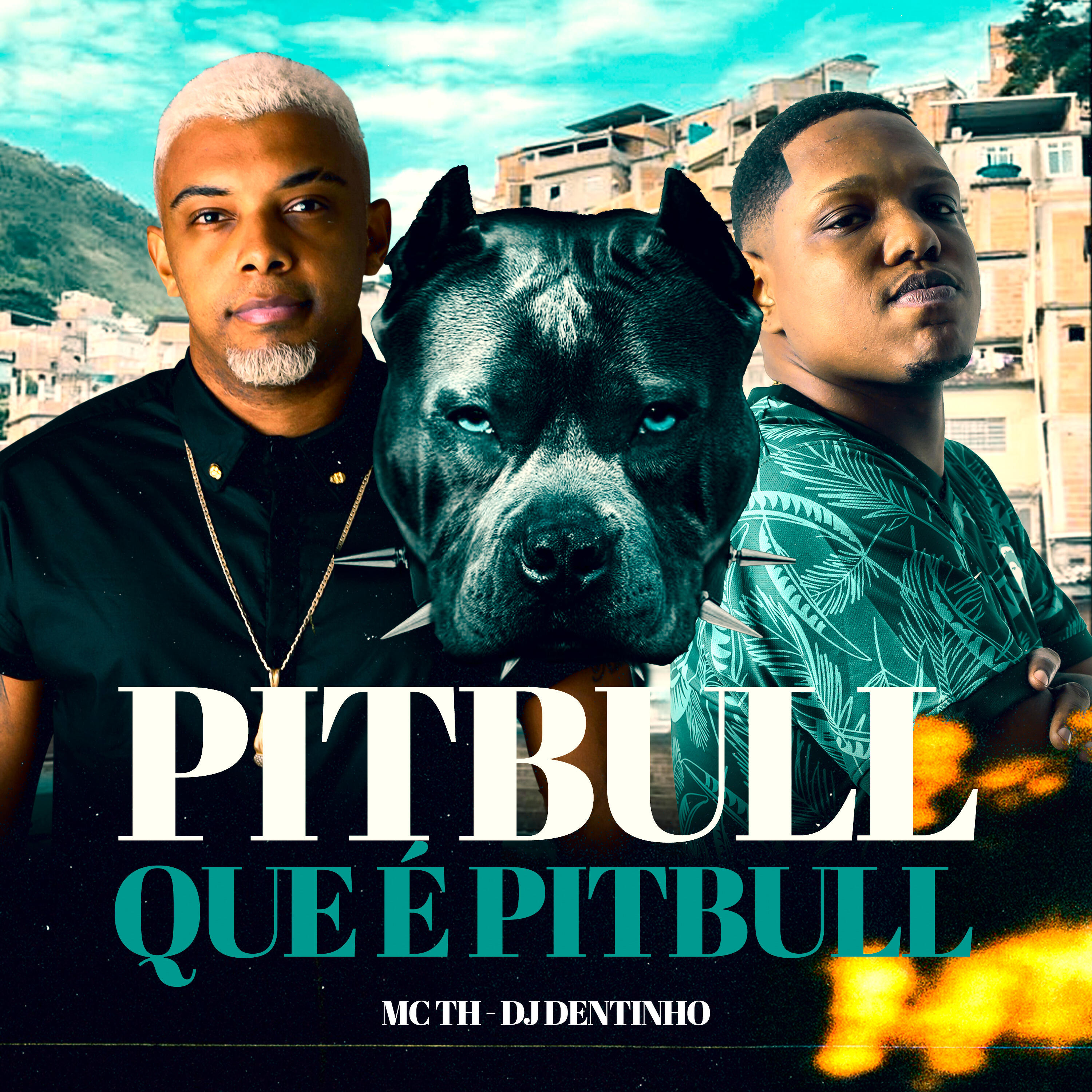 Скачать песню Mc Th, DJ Dentinho do Escadão - Pitbull Que É Pitbull бесплатно в MP3 для Android и iOS
