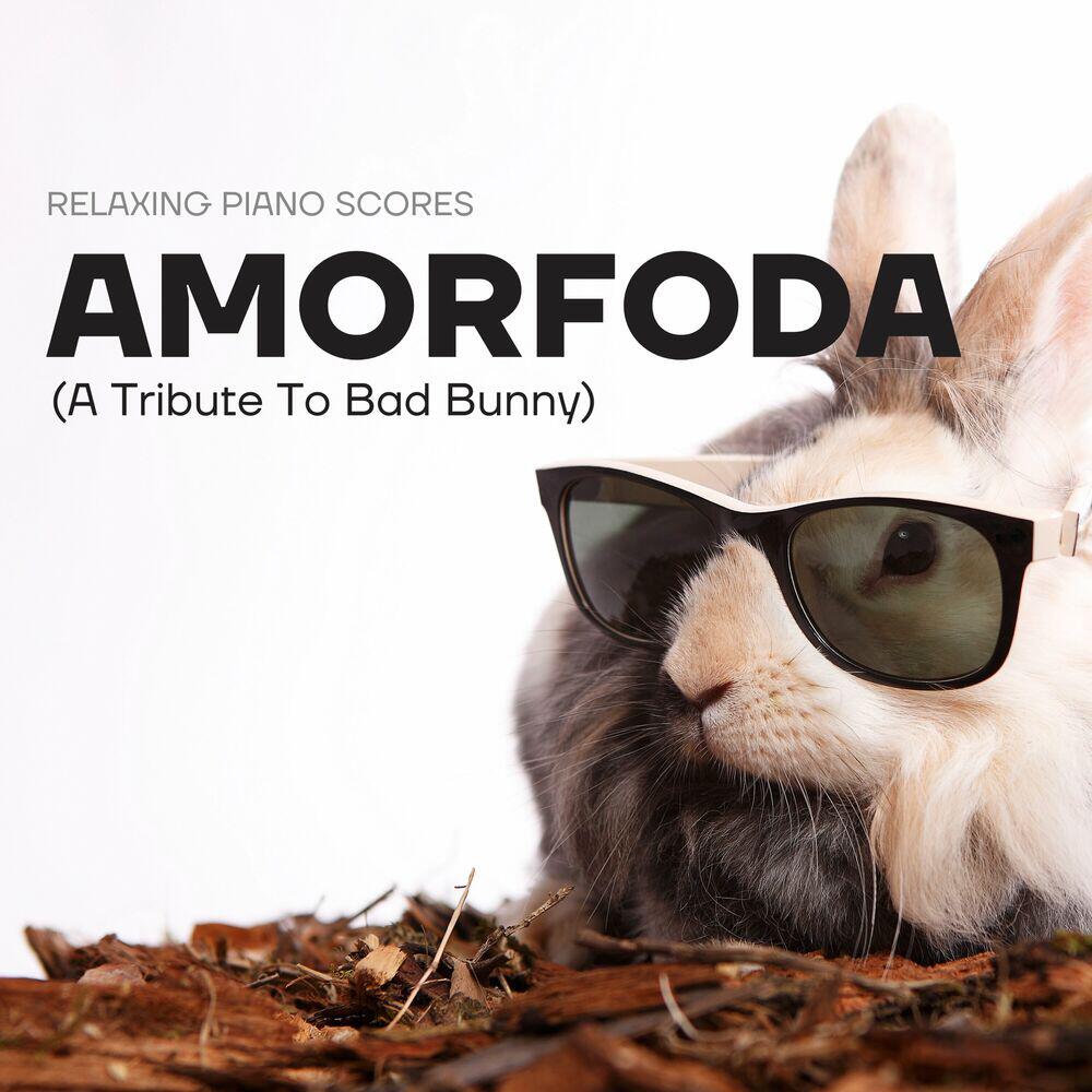 Релиз Amorfoda