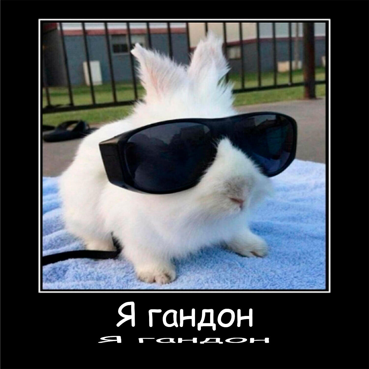 Постер альбома Я гандон
