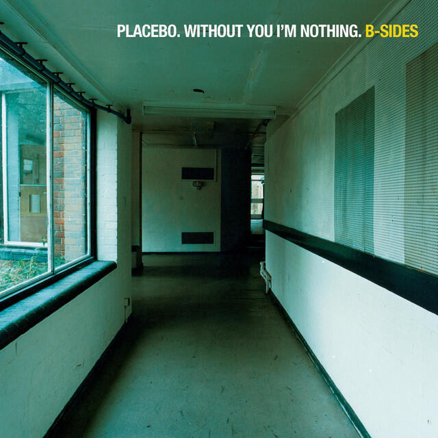 Релиз Without You I'm Nothing: B-Sides
