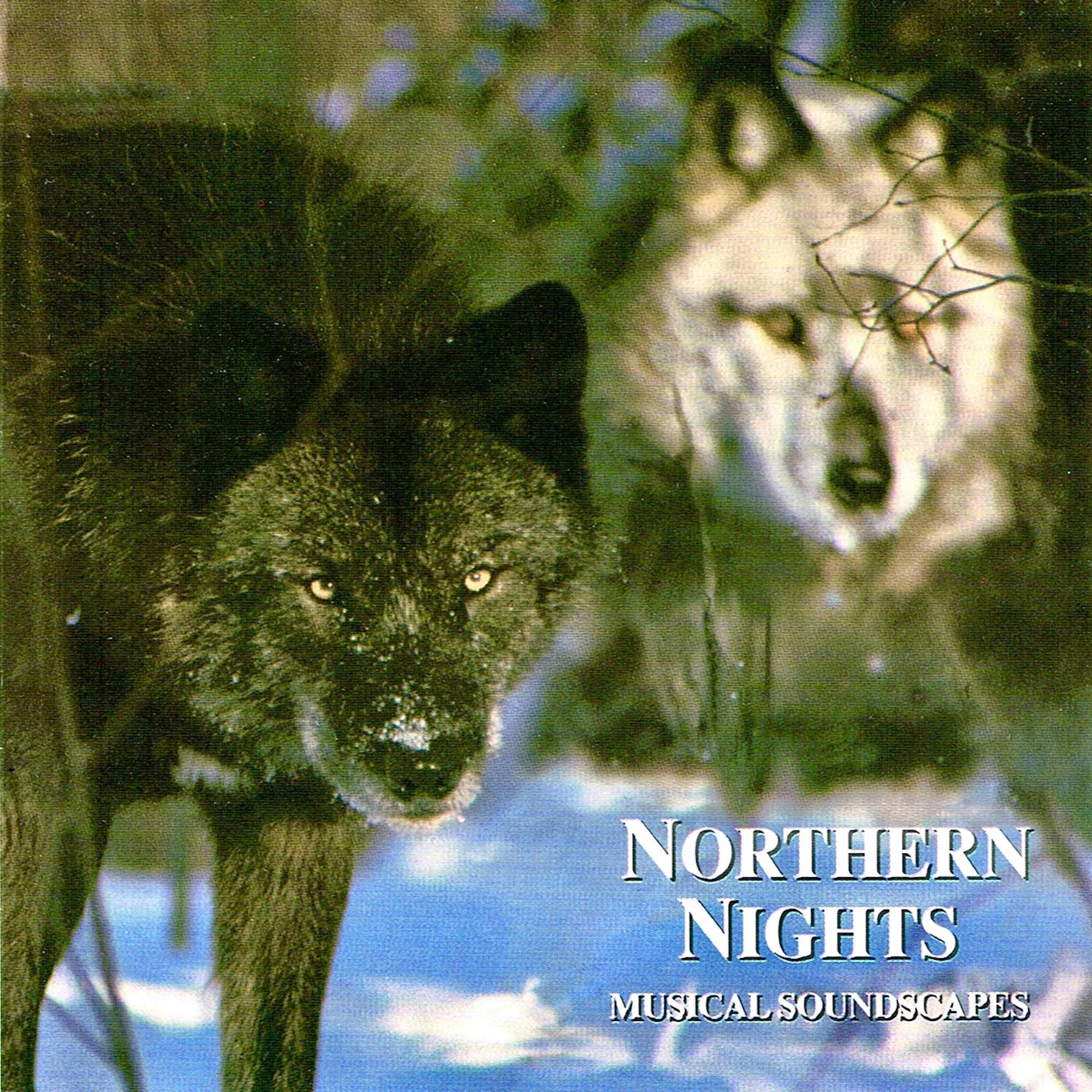 Релиз Northern Nights (Musical Soundscapes)