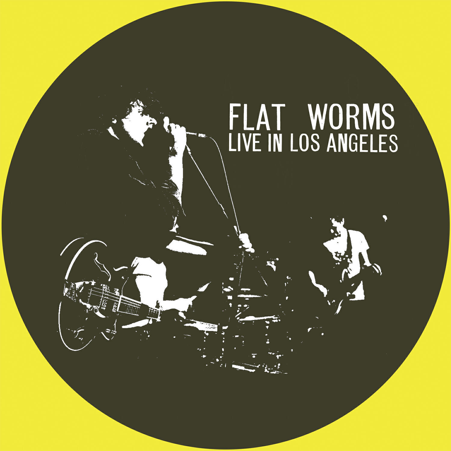 Flat Worms