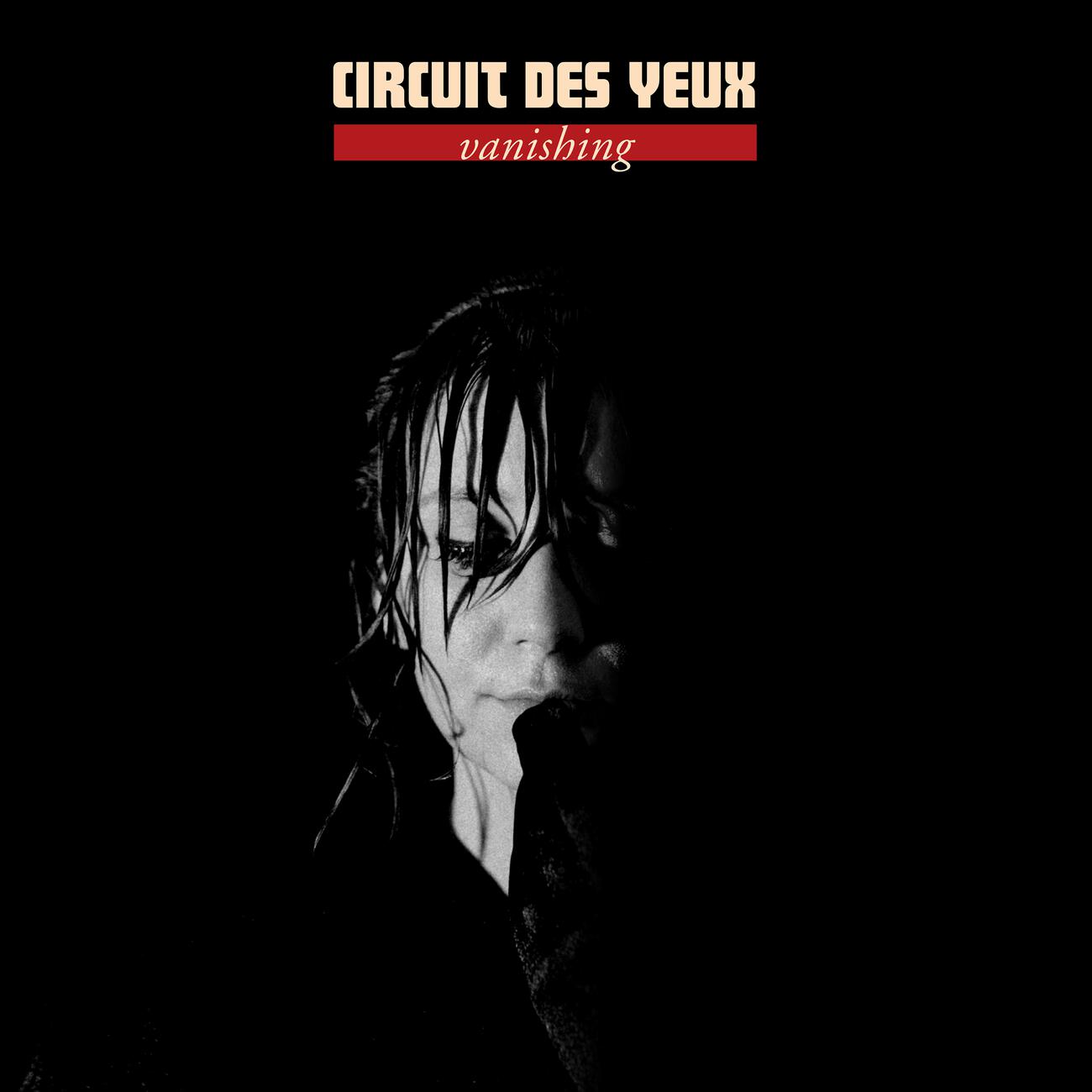 Релиз Vanishing