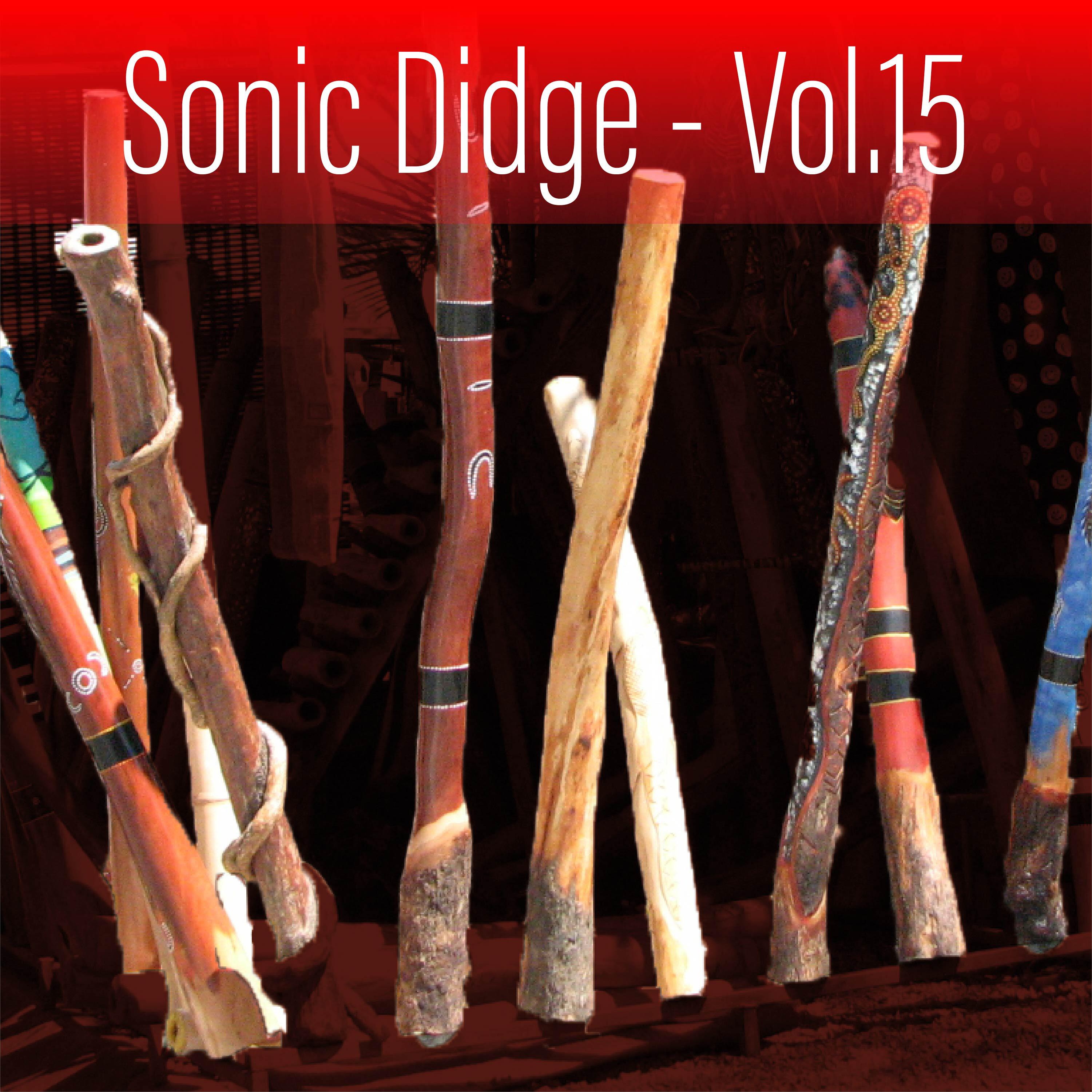 Релиз Sonic Didge, Vol. 15