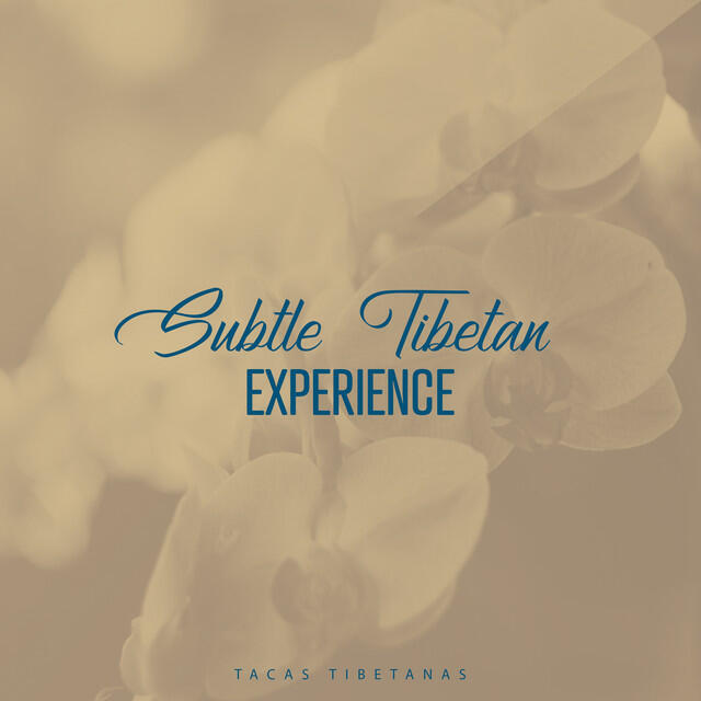 Релиз Subtle Tibetan Experience