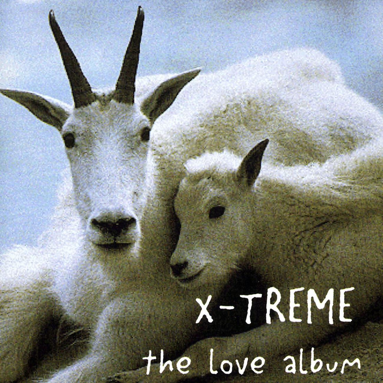 Релиз The Love Album