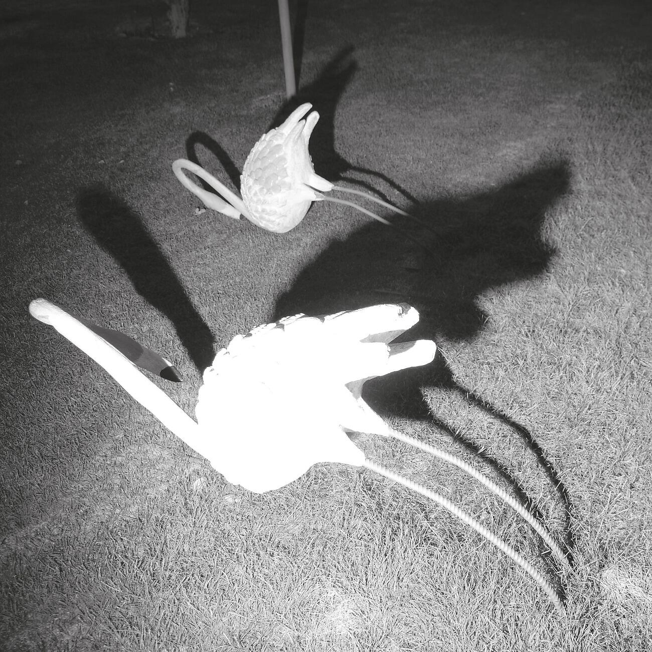 Релиз Moonless Garden