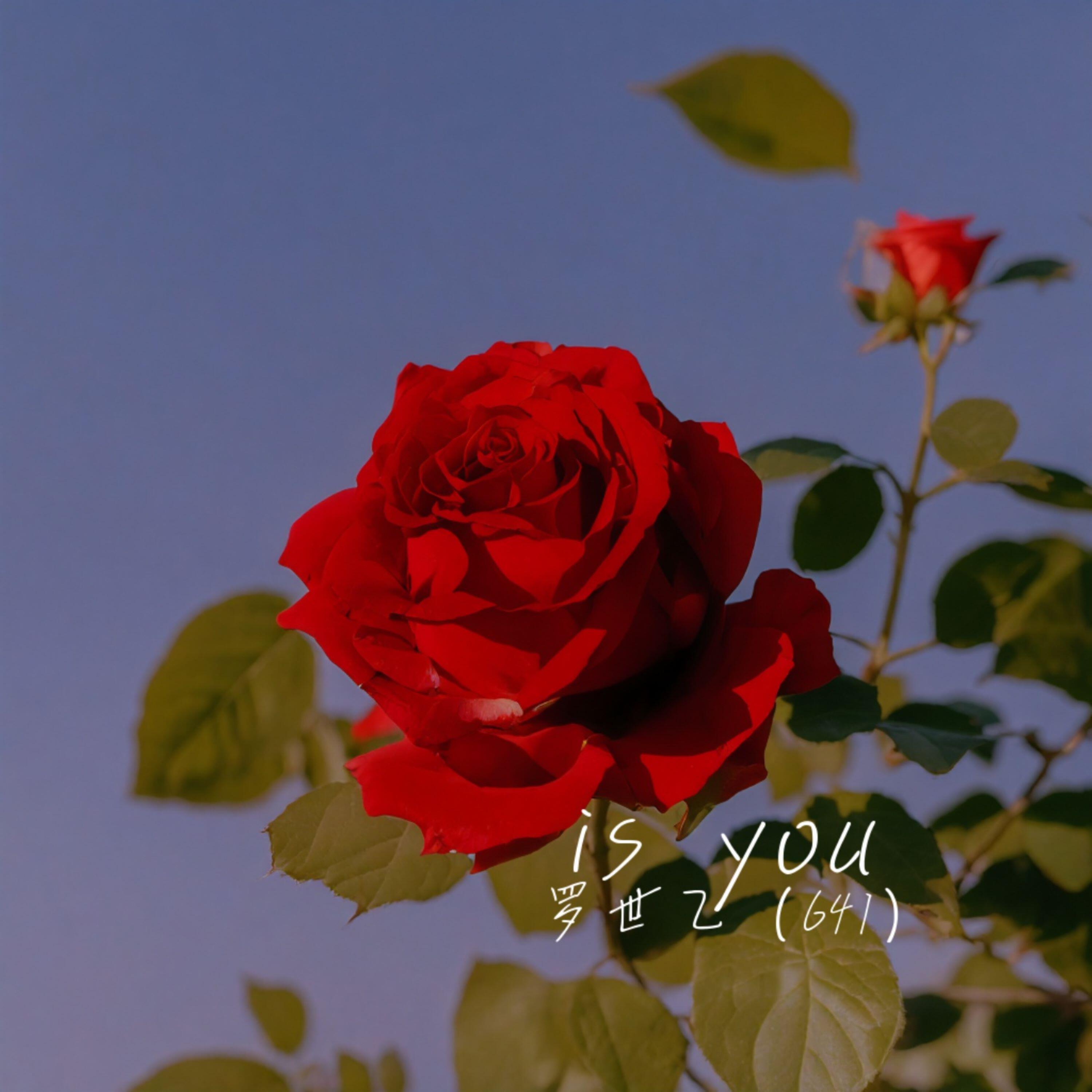 Релиз Is You