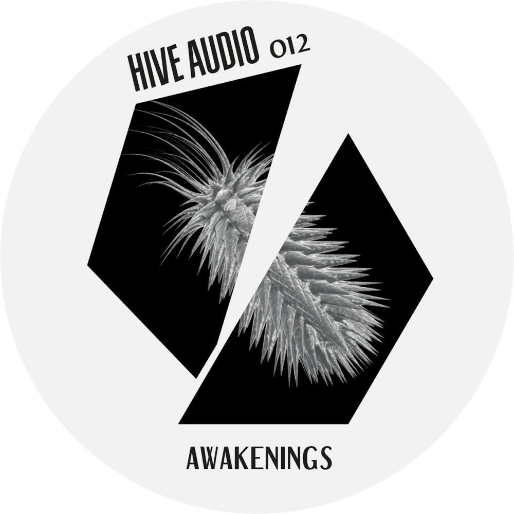 Релиз Awakenings