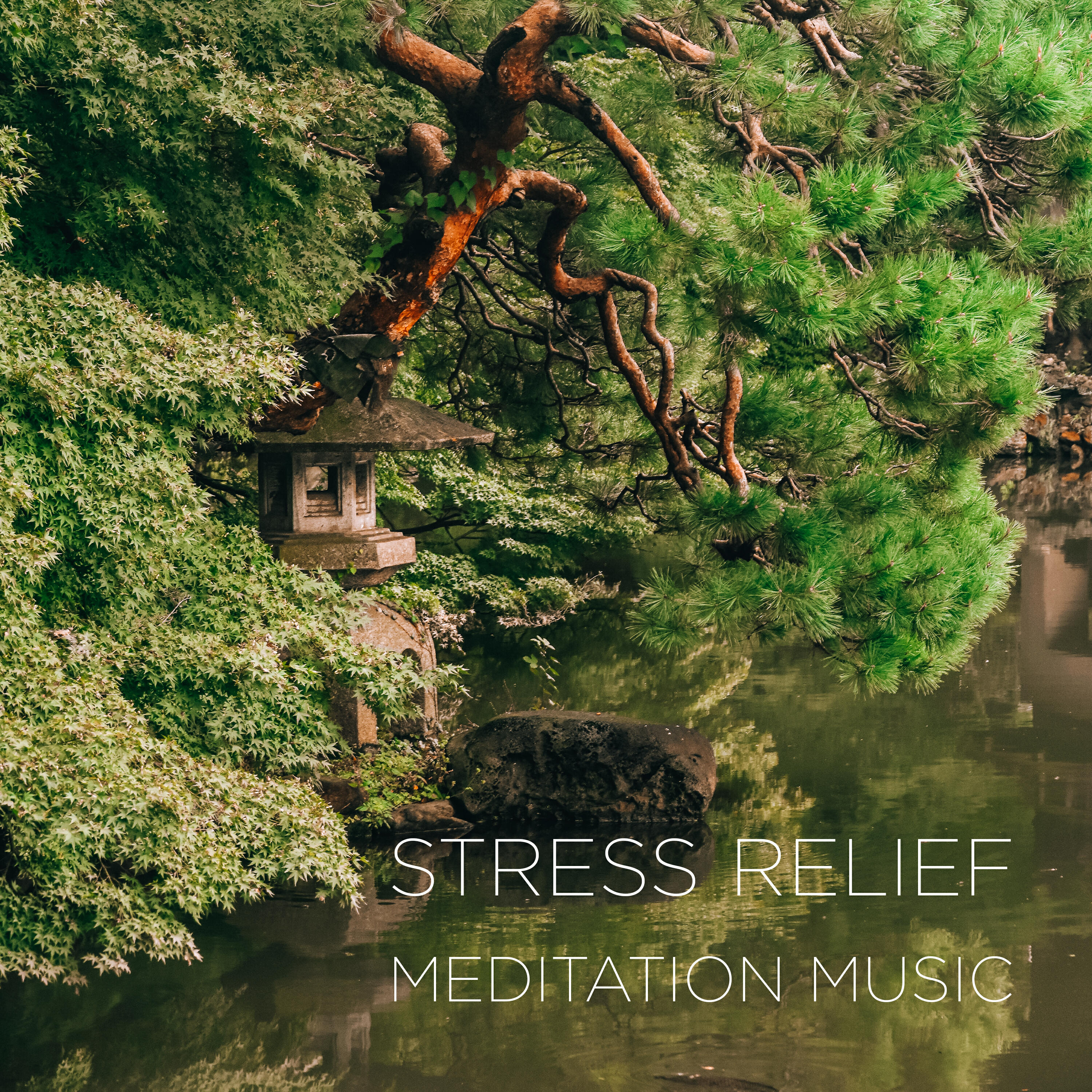 Релиз Stress Relief Meditation Music