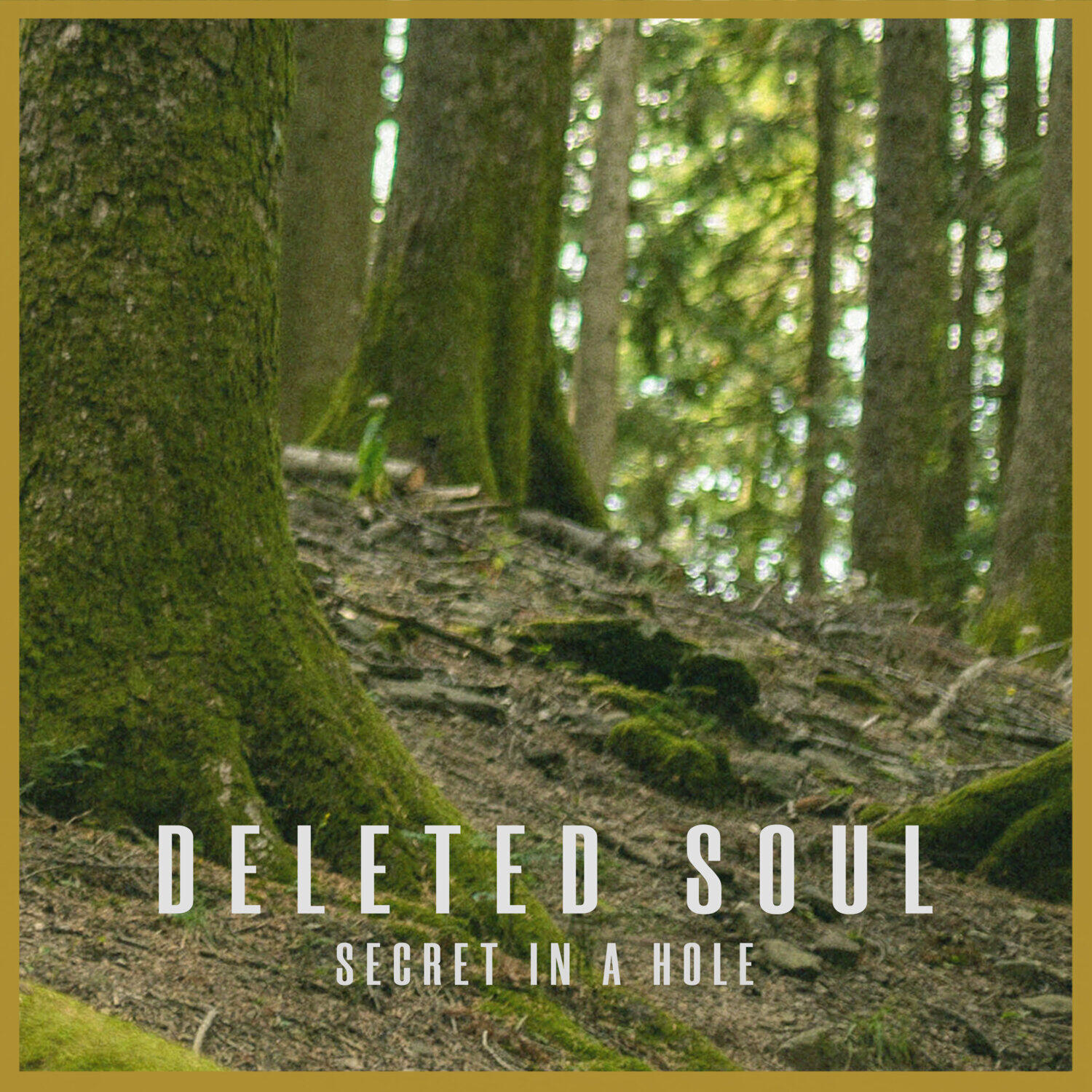 Релиз Secret in a hole