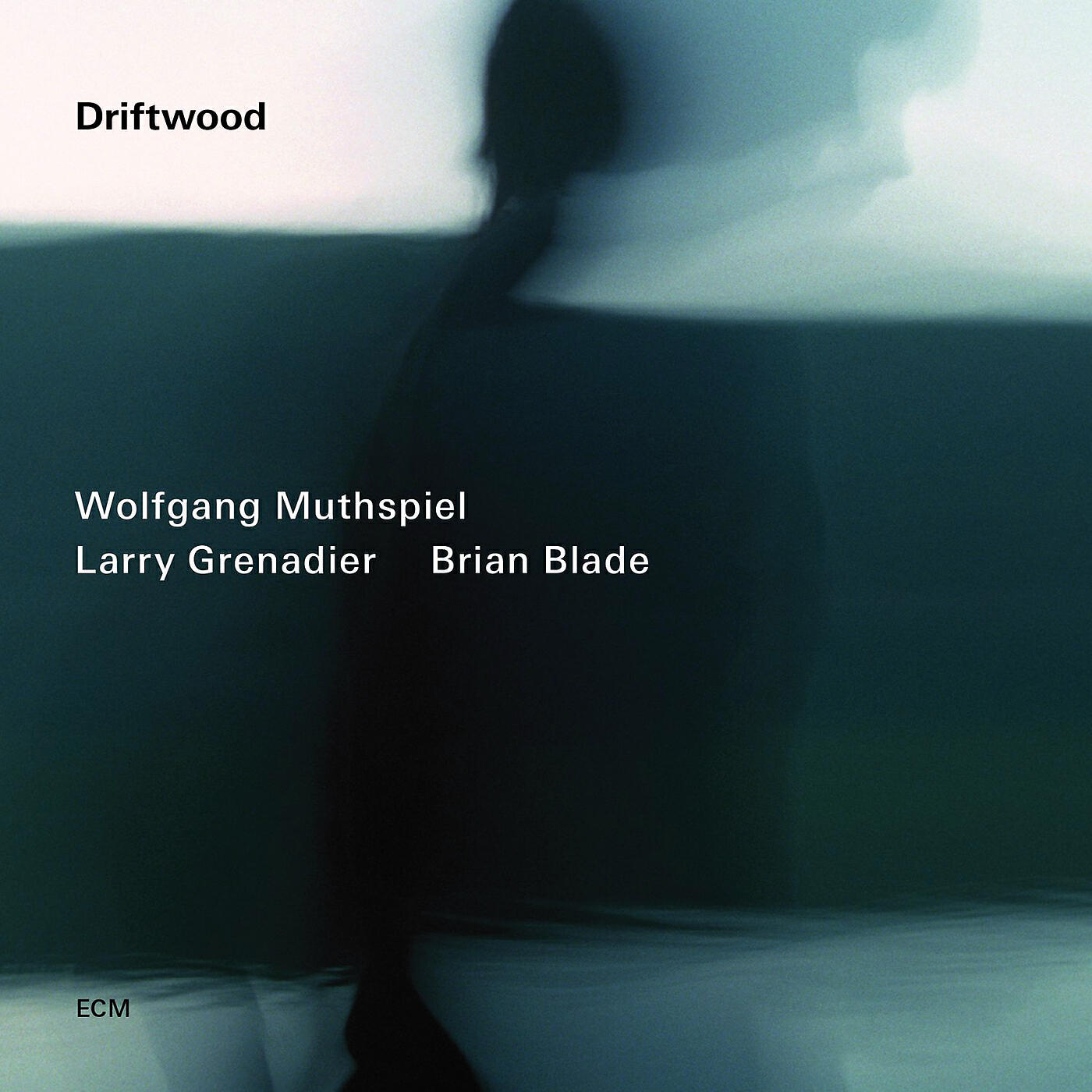Релиз Driftwood
