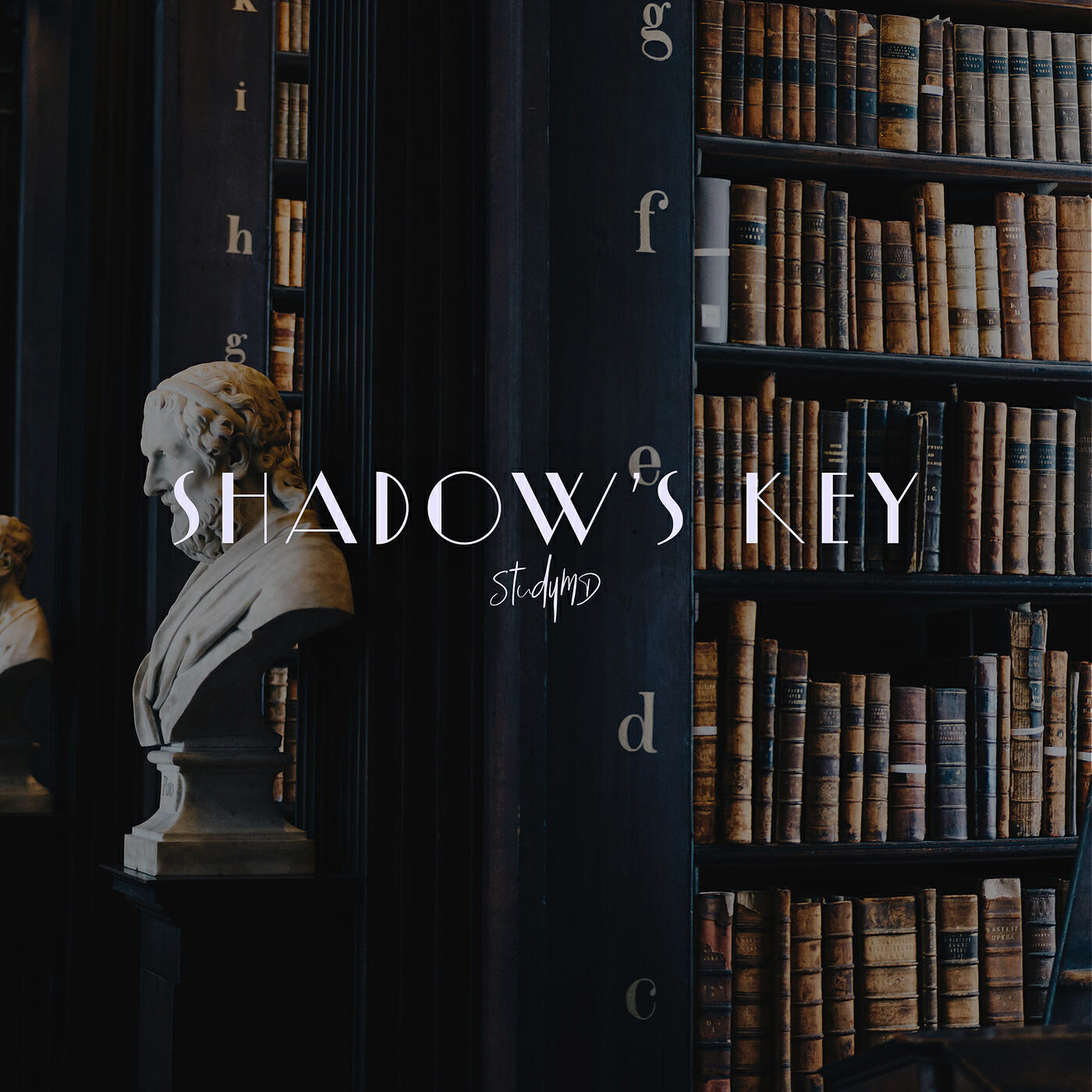 Постер альбома Shadow's Key