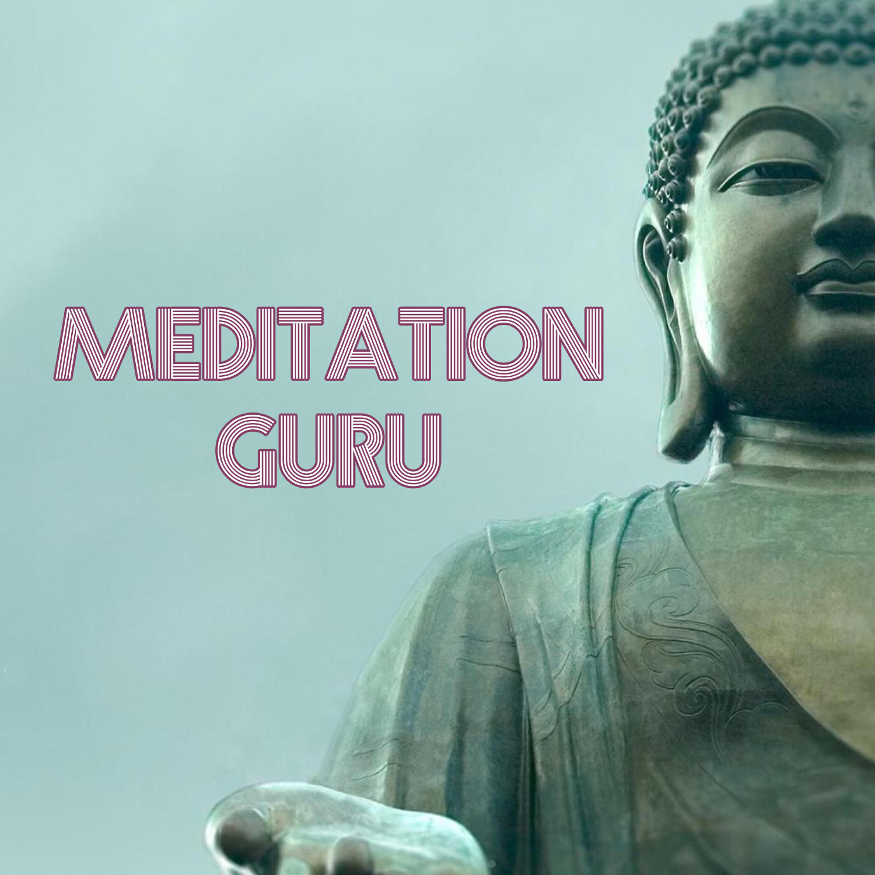Релиз Meditation Guru