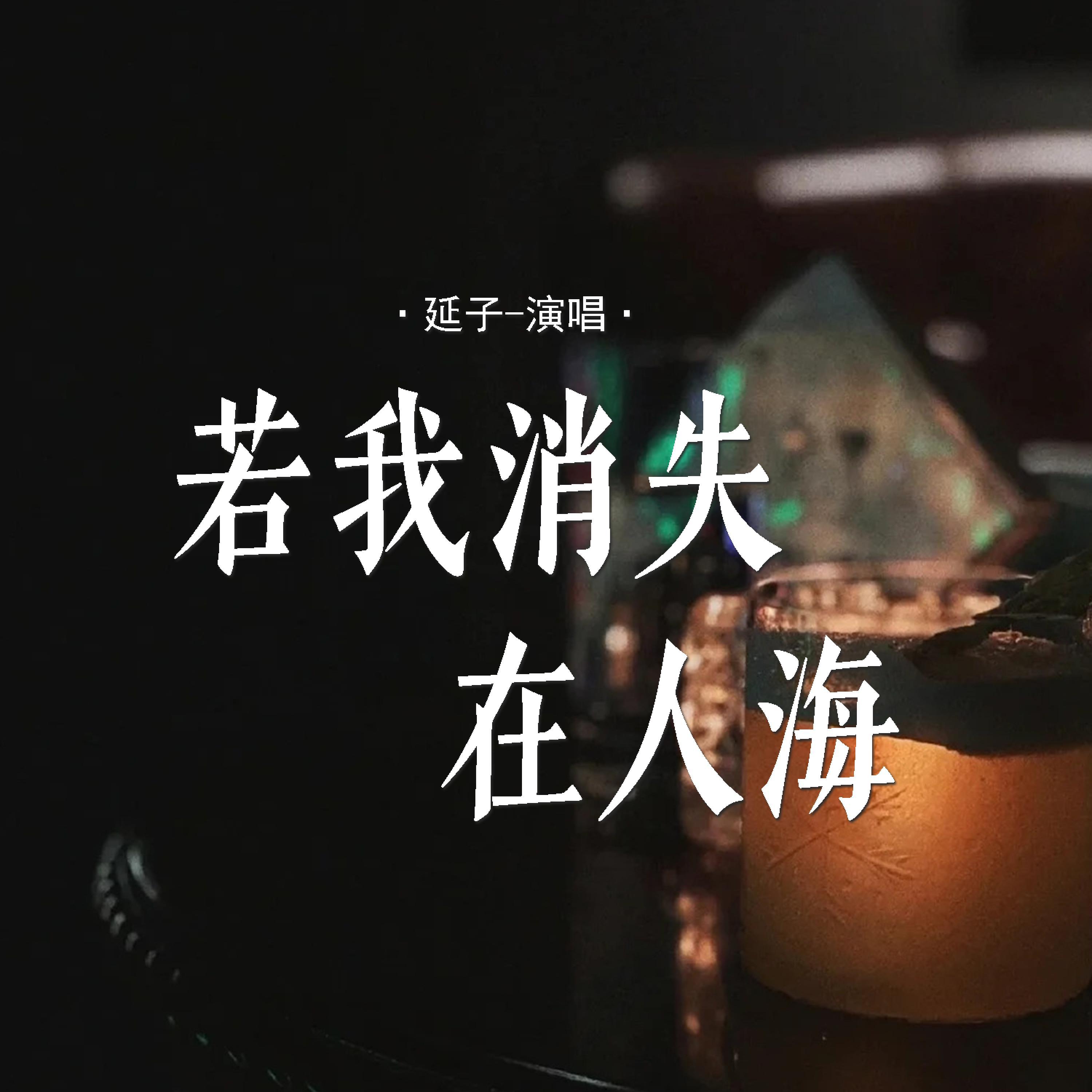 Релиз 若我消失在人海