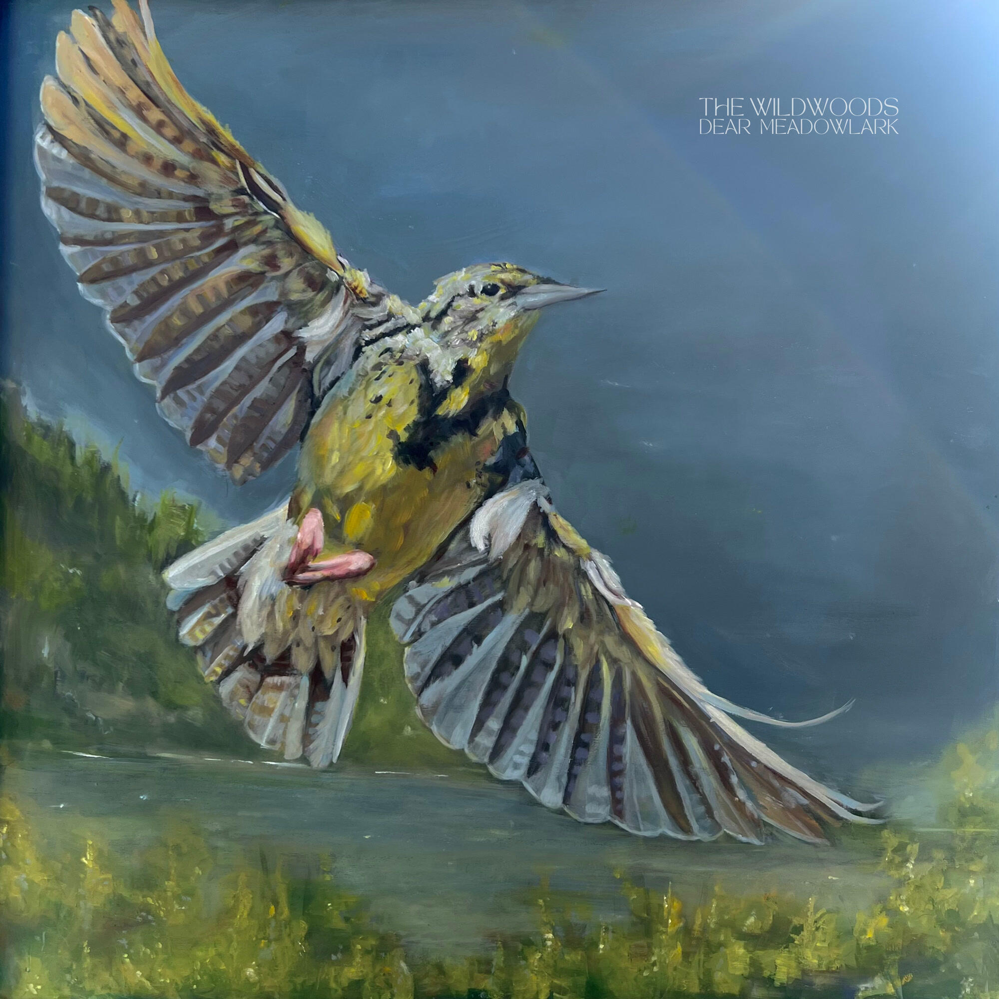 Релиз Dear Meadowlark