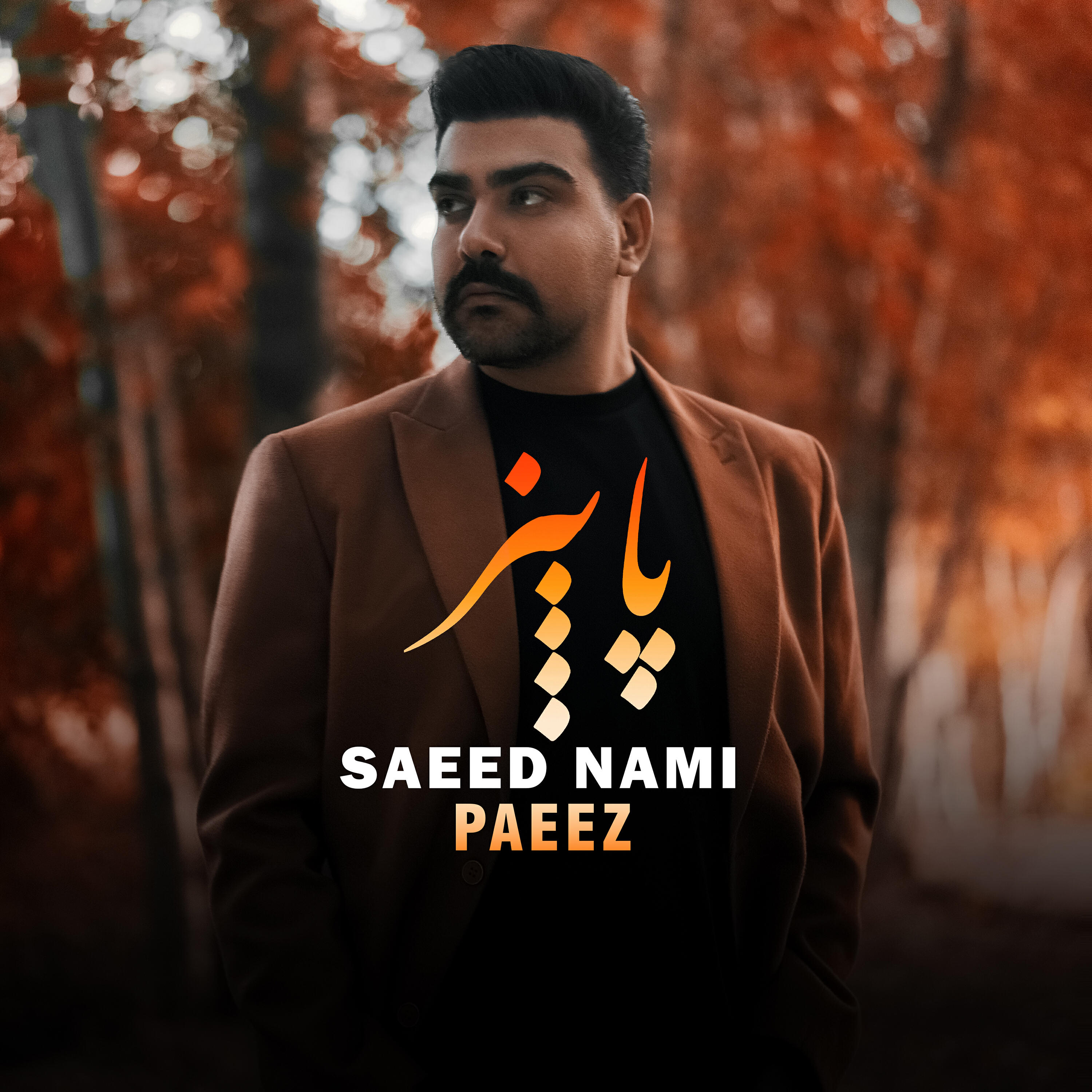 Saeed Nami