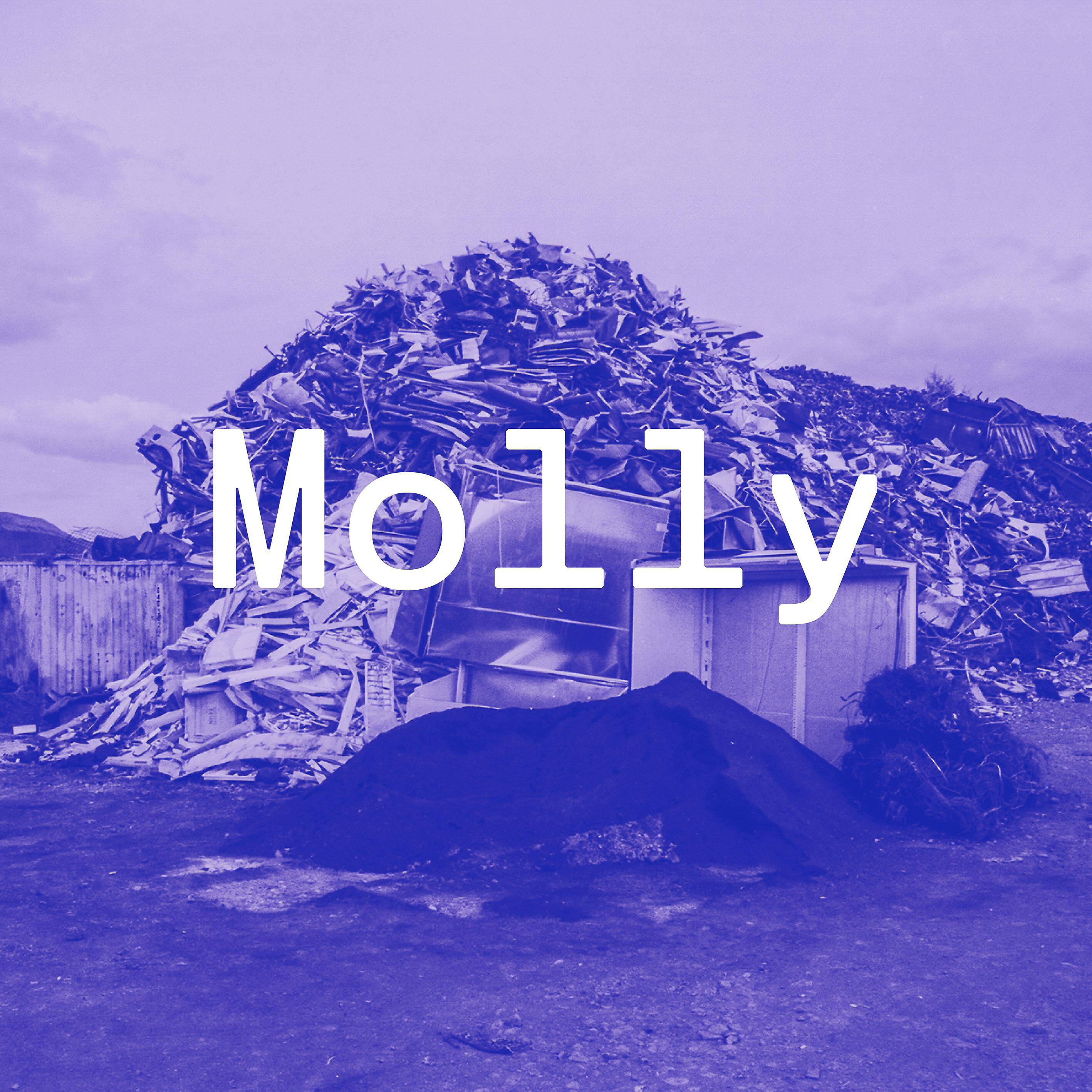 Релиз Molly