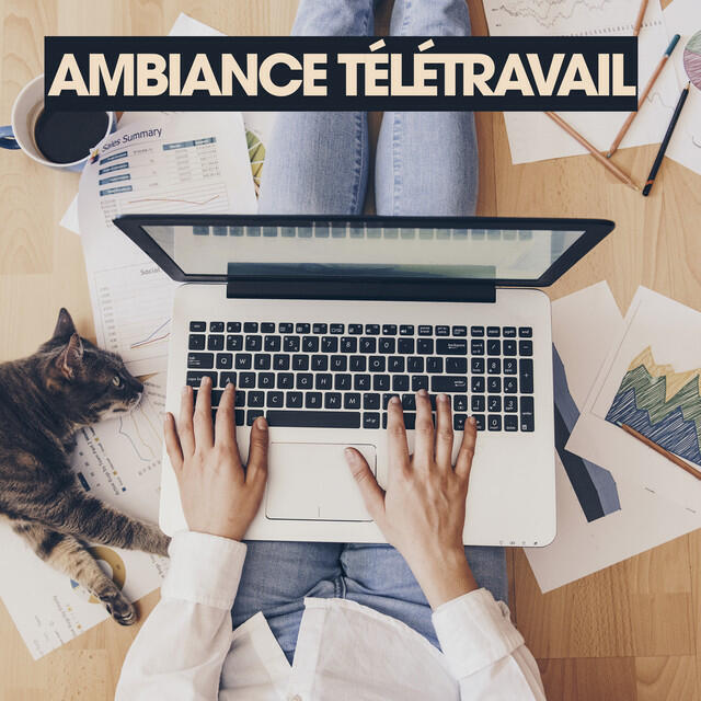 Постер альбома Ambiance Télétravail