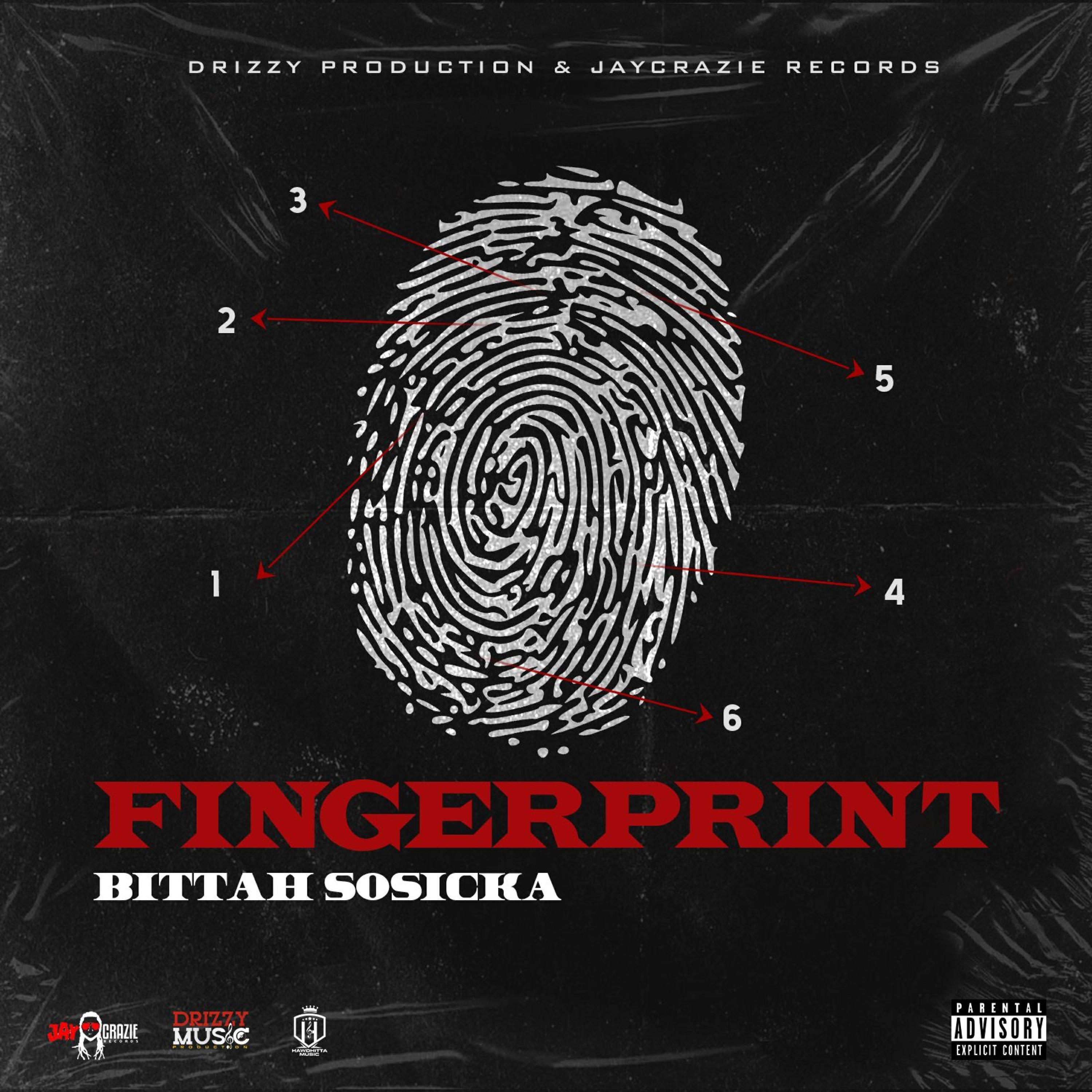 Релиз Fingerprint