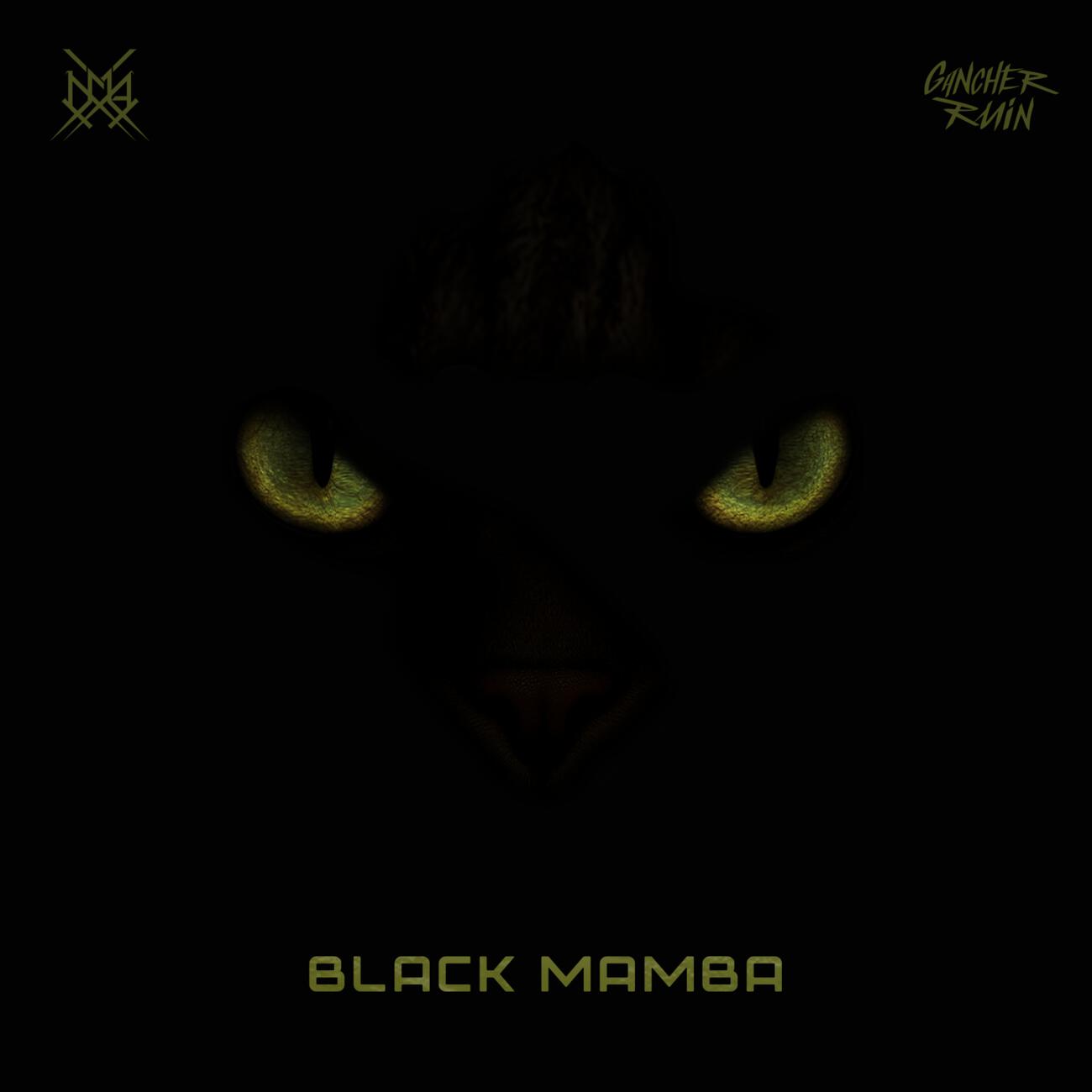 Релиз Black Mamba