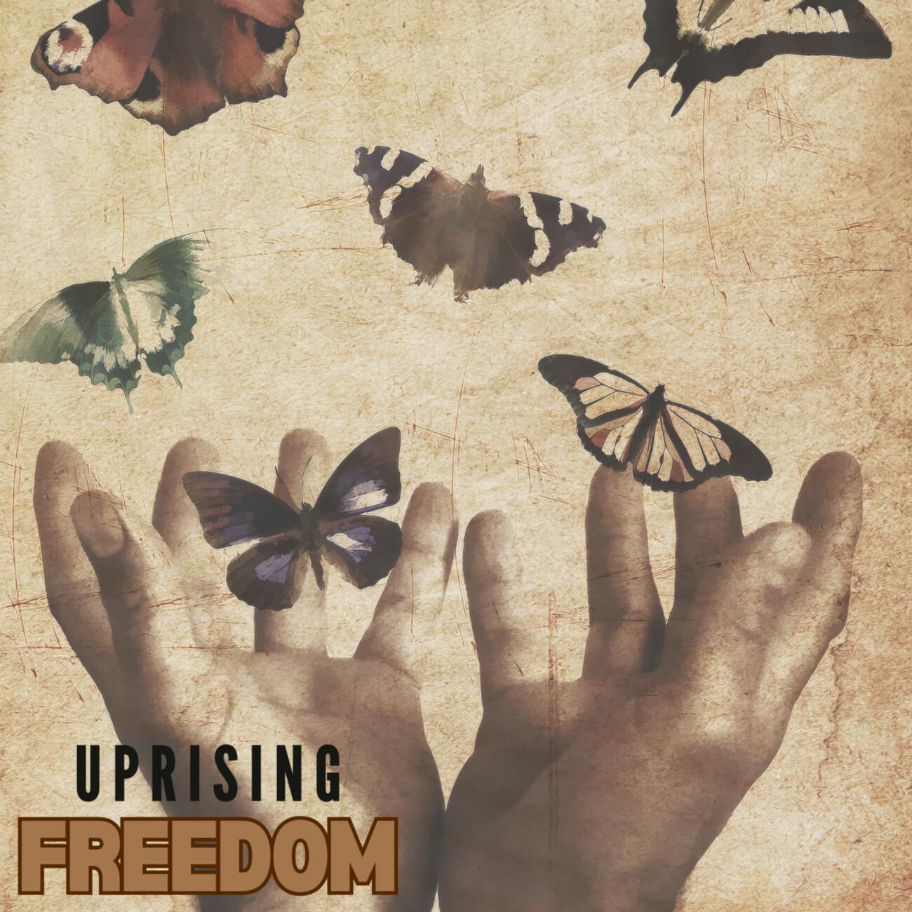 Релиз Freedom