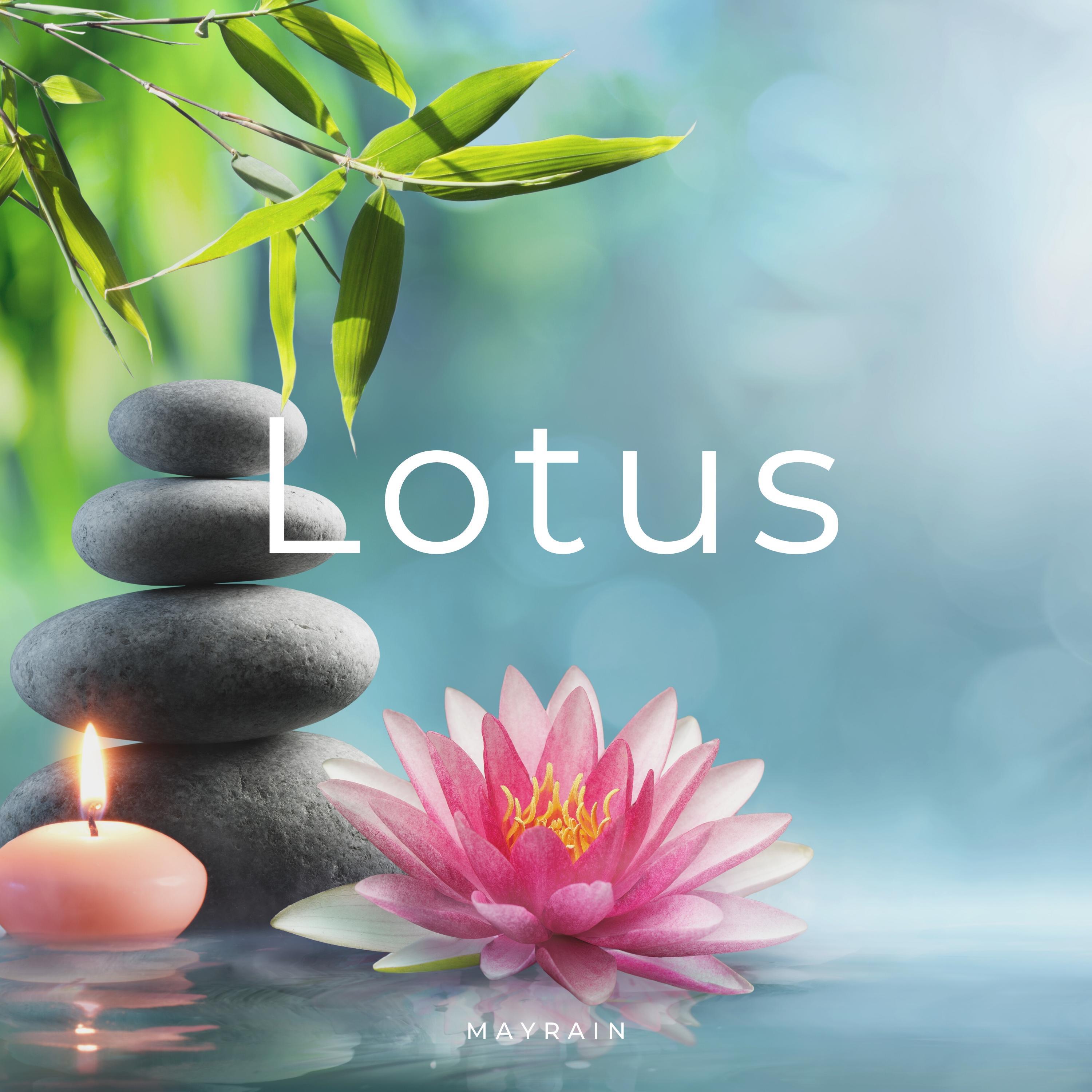 Релиз Lotus