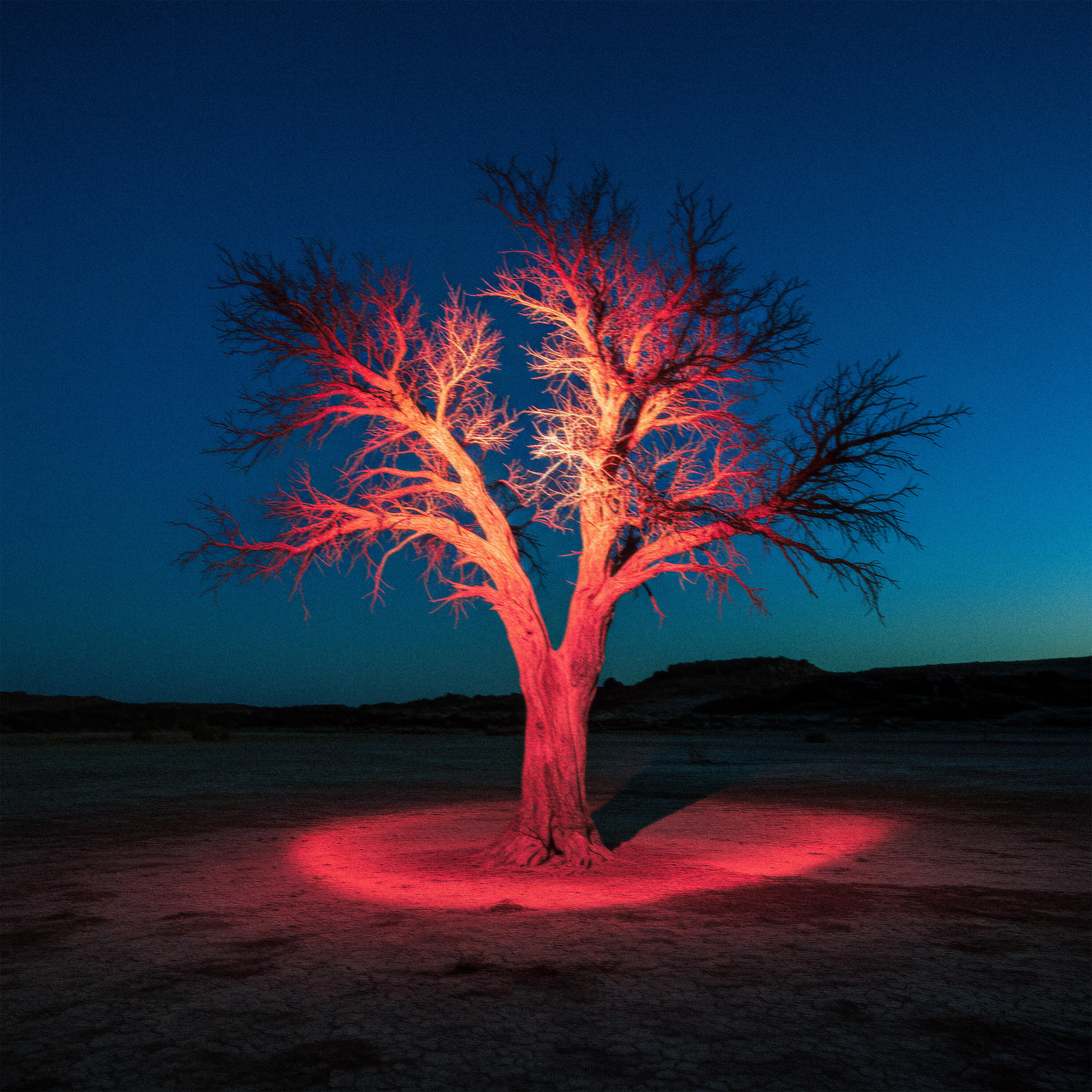 Релиз Fire Tree